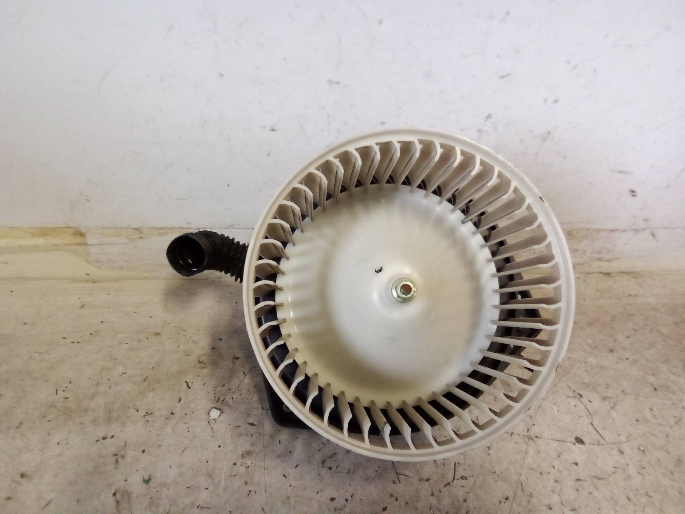 Motorino ventilazione abitacolo