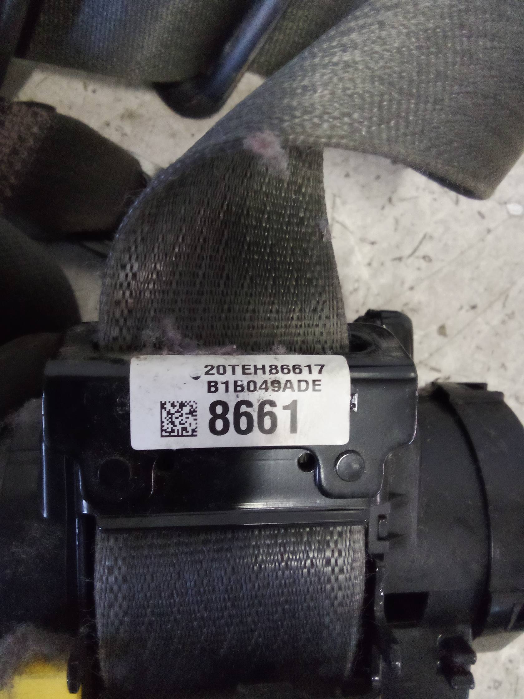 Cintura di sicurezza ant. sx.