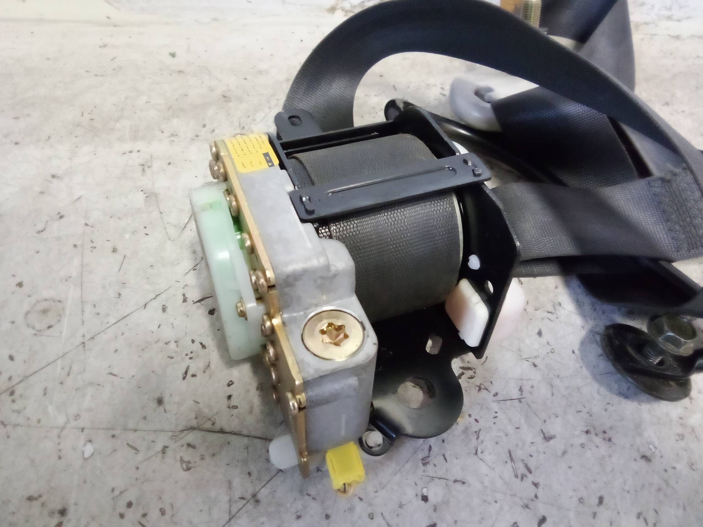 Cintura di sicurezza ant. dx.