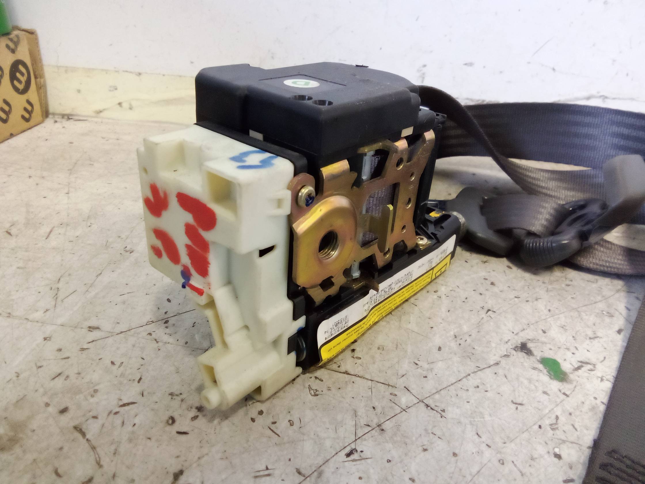 Cintura di sicurezza ant. dx.