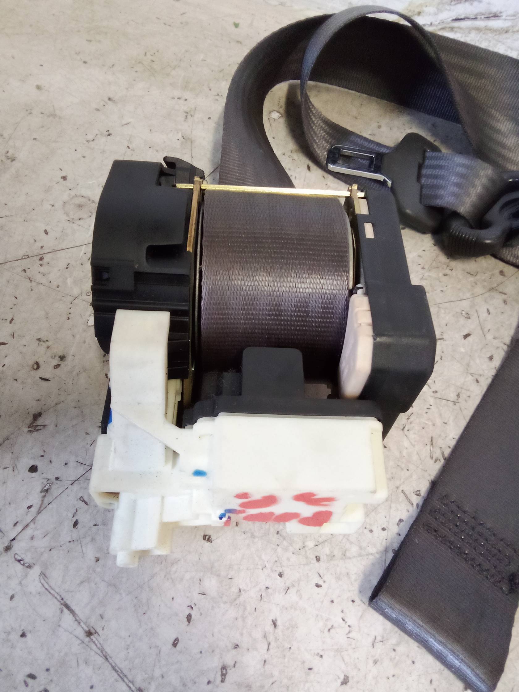 Cintura di sicurezza ant. dx.