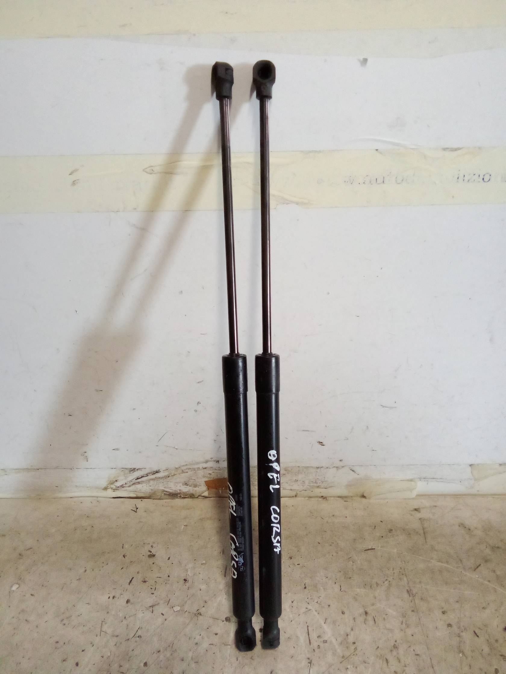 Asta ammortizzante portello post. sx.