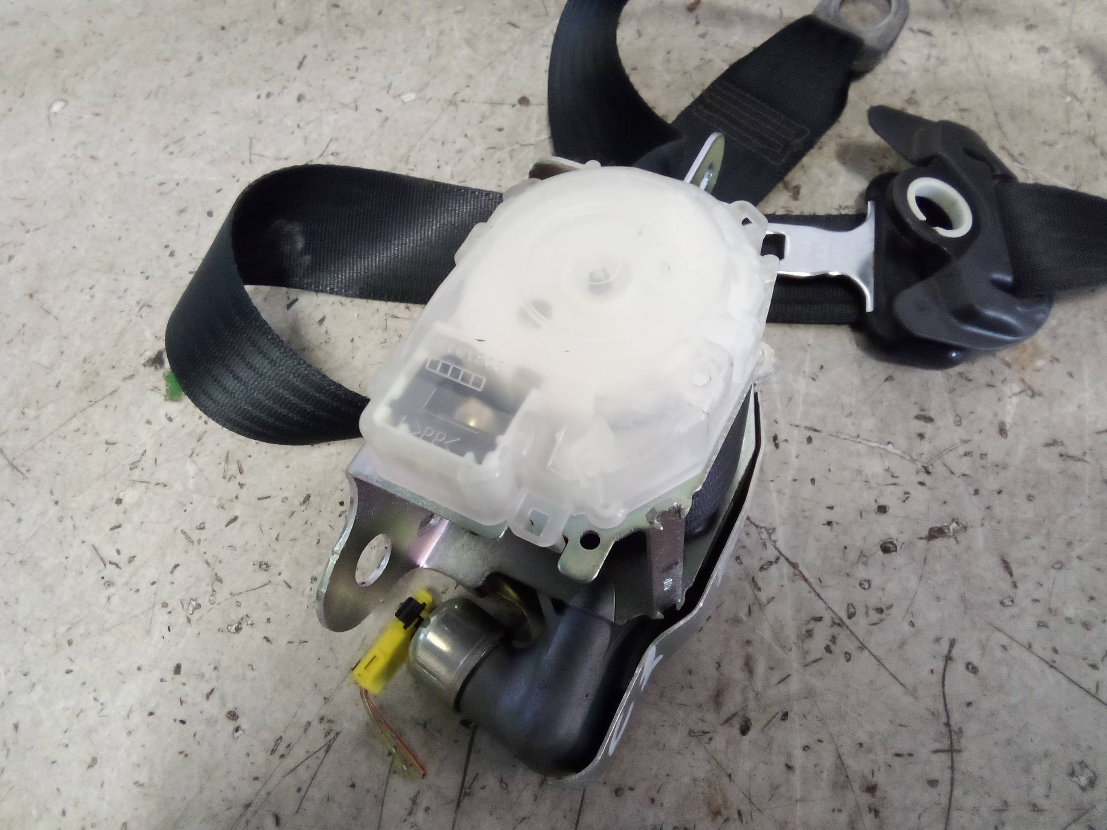 Cintura di sicurezza ant. dx.