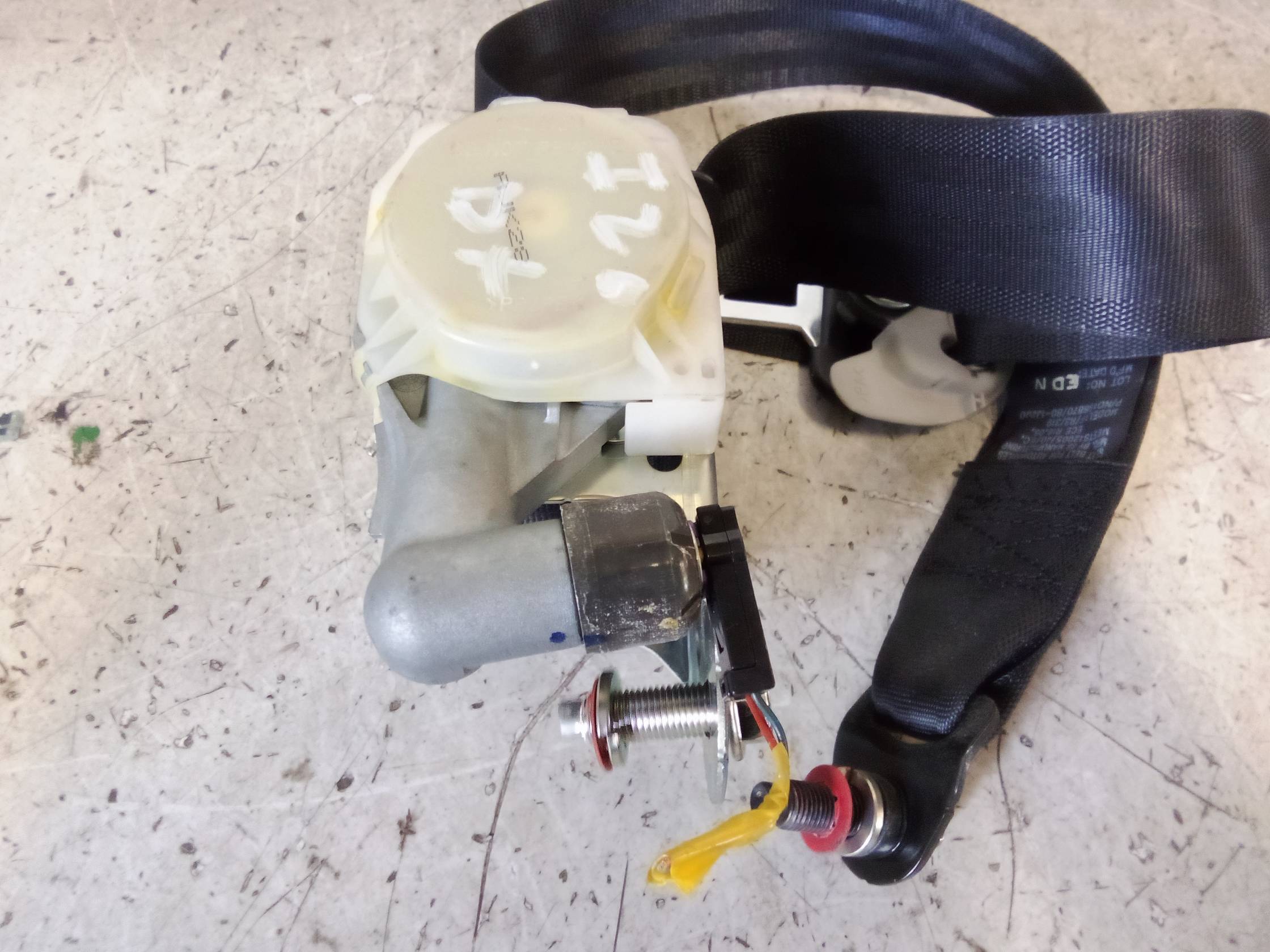 Cintura di sicurezza ant. dx.