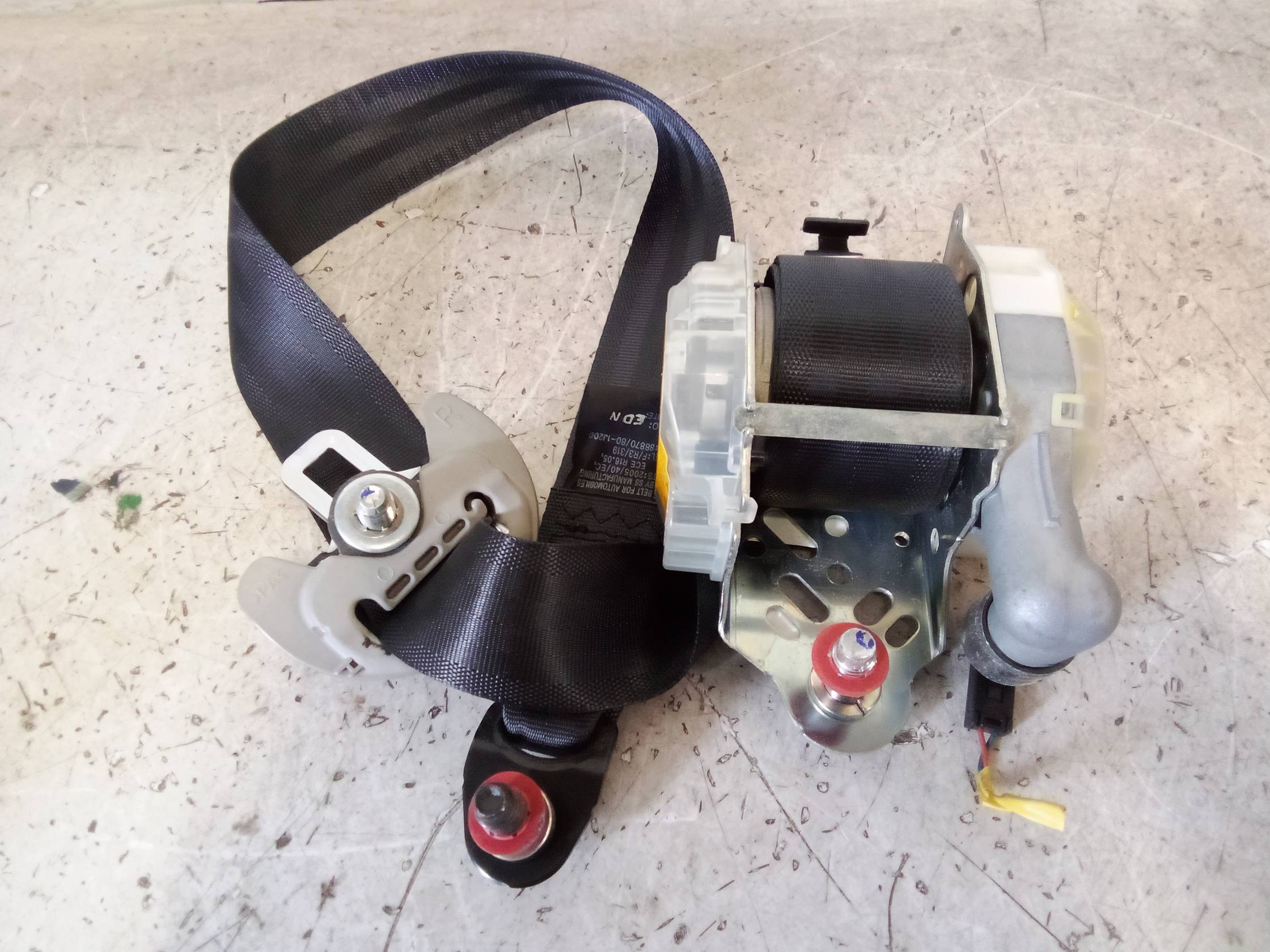 Cintura di sicurezza ant. dx.