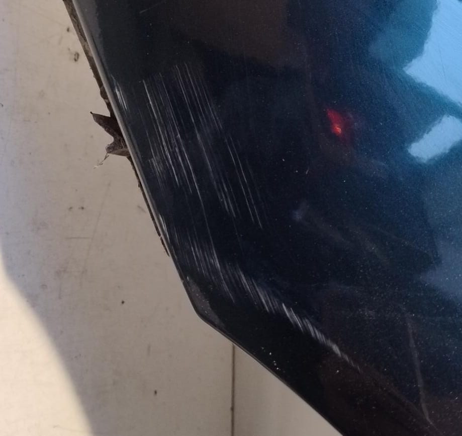 Parafango ant. sx.