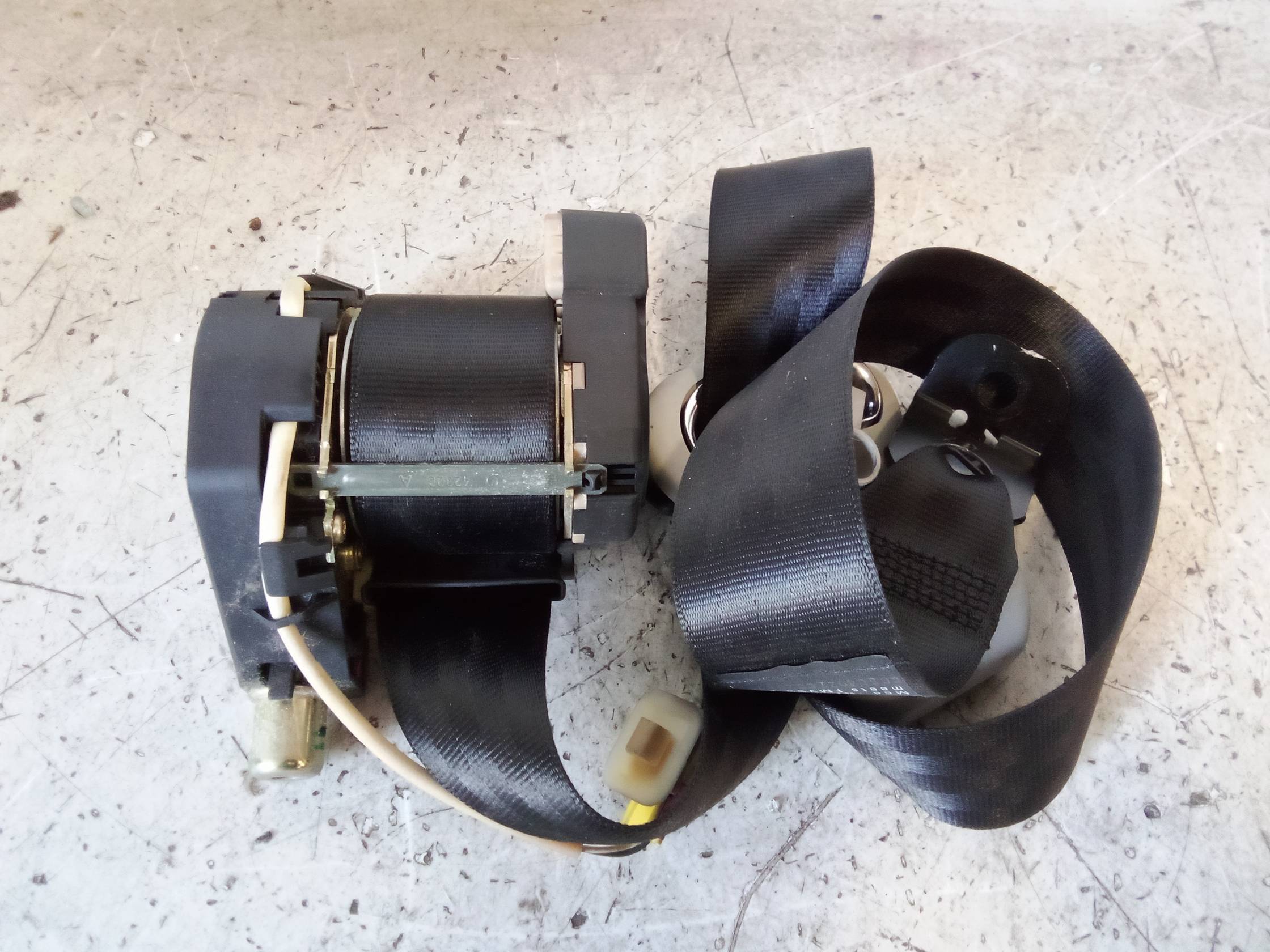 Cintura di sicurezza ant. dx.