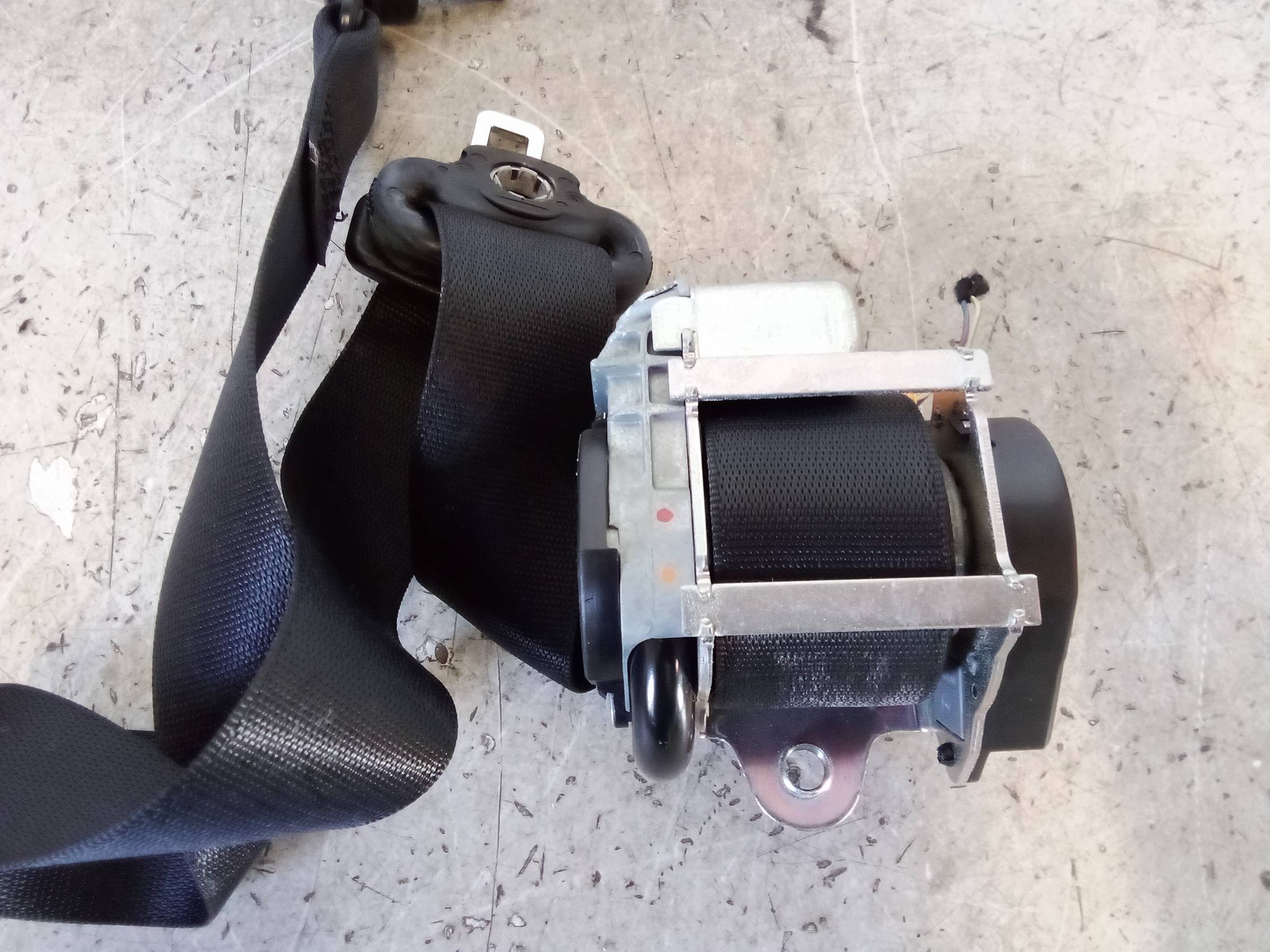 Cintura di sicurezza ant. dx.