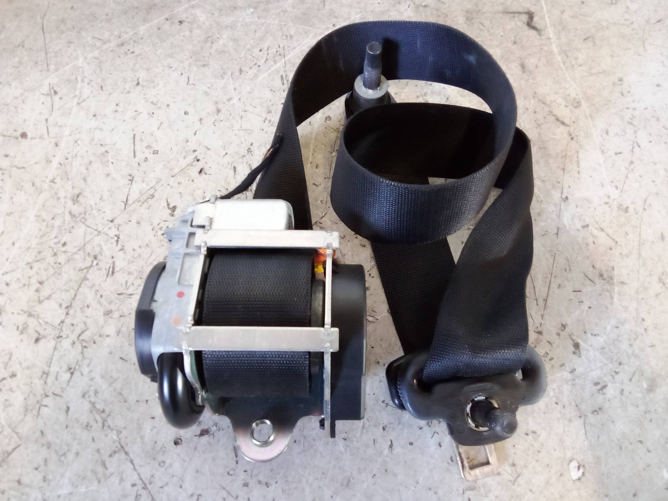 Cintura di sicurezza ant. sx.