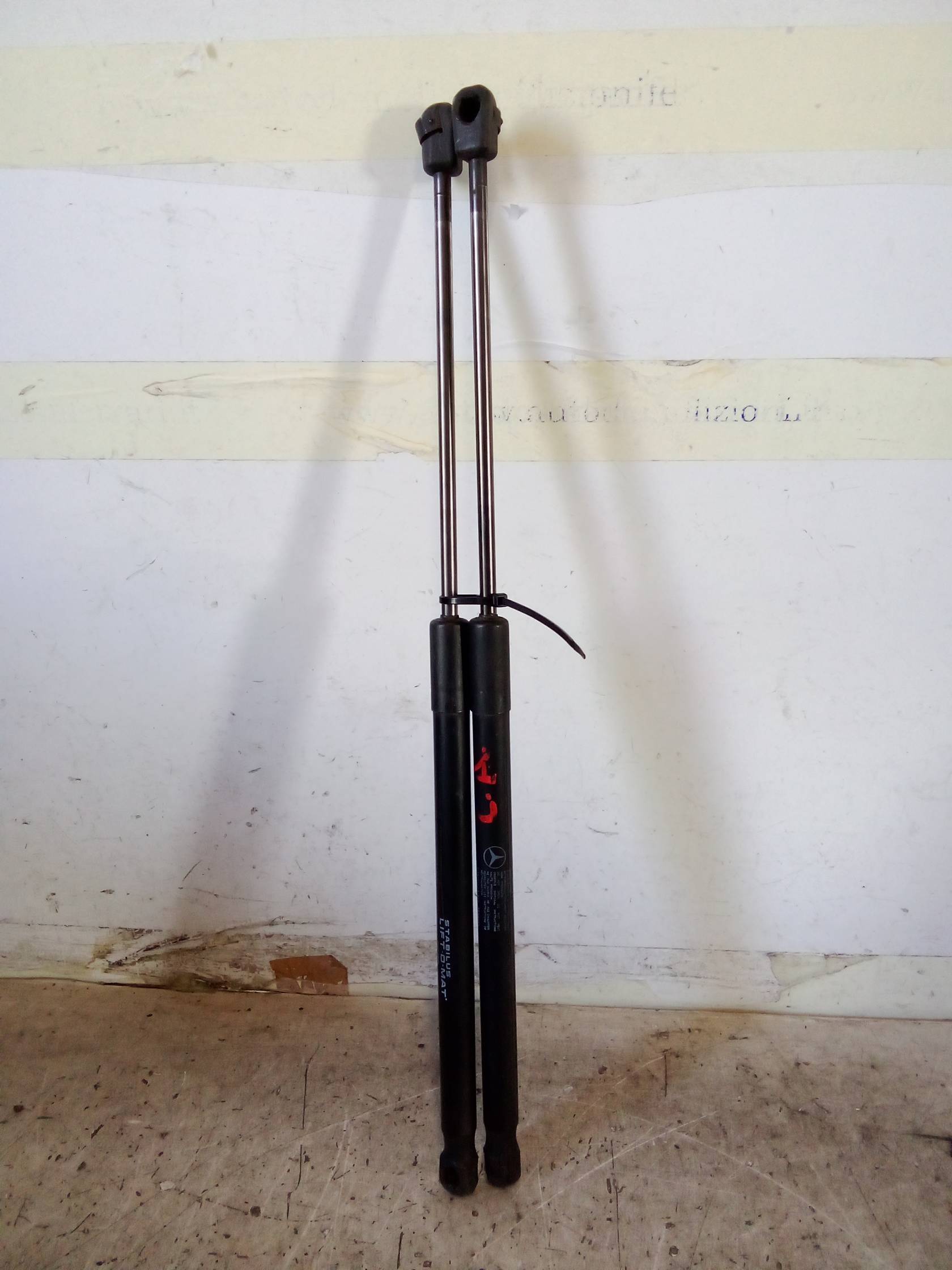 Asta ammortizzante portello post. sx.