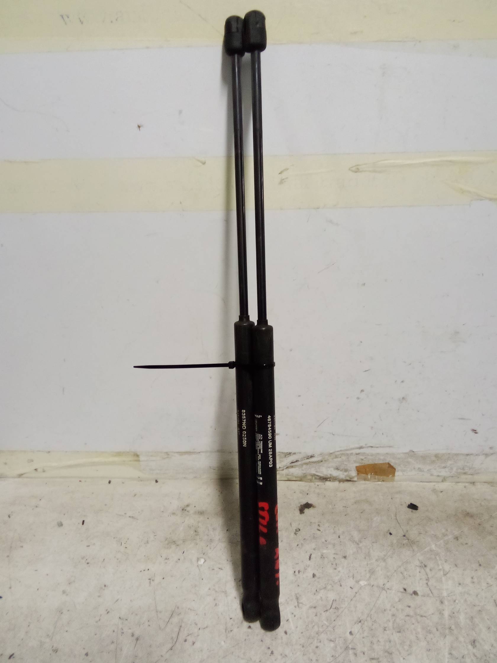 Asta ammortizzante cofano ant. sx.