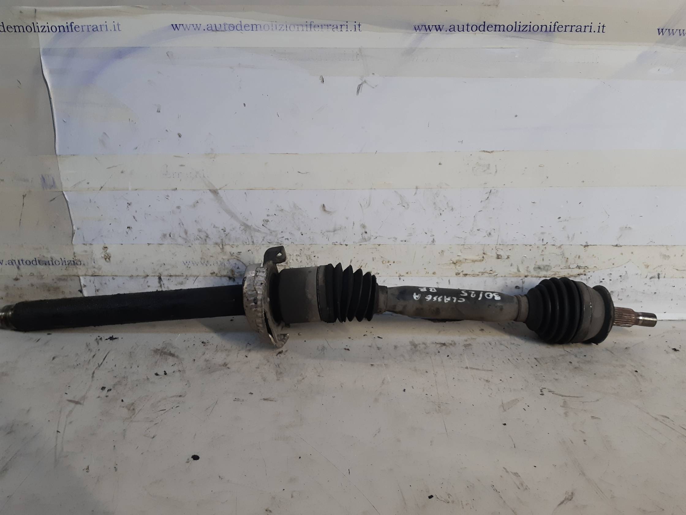 Semialbero ant. compl. dx.