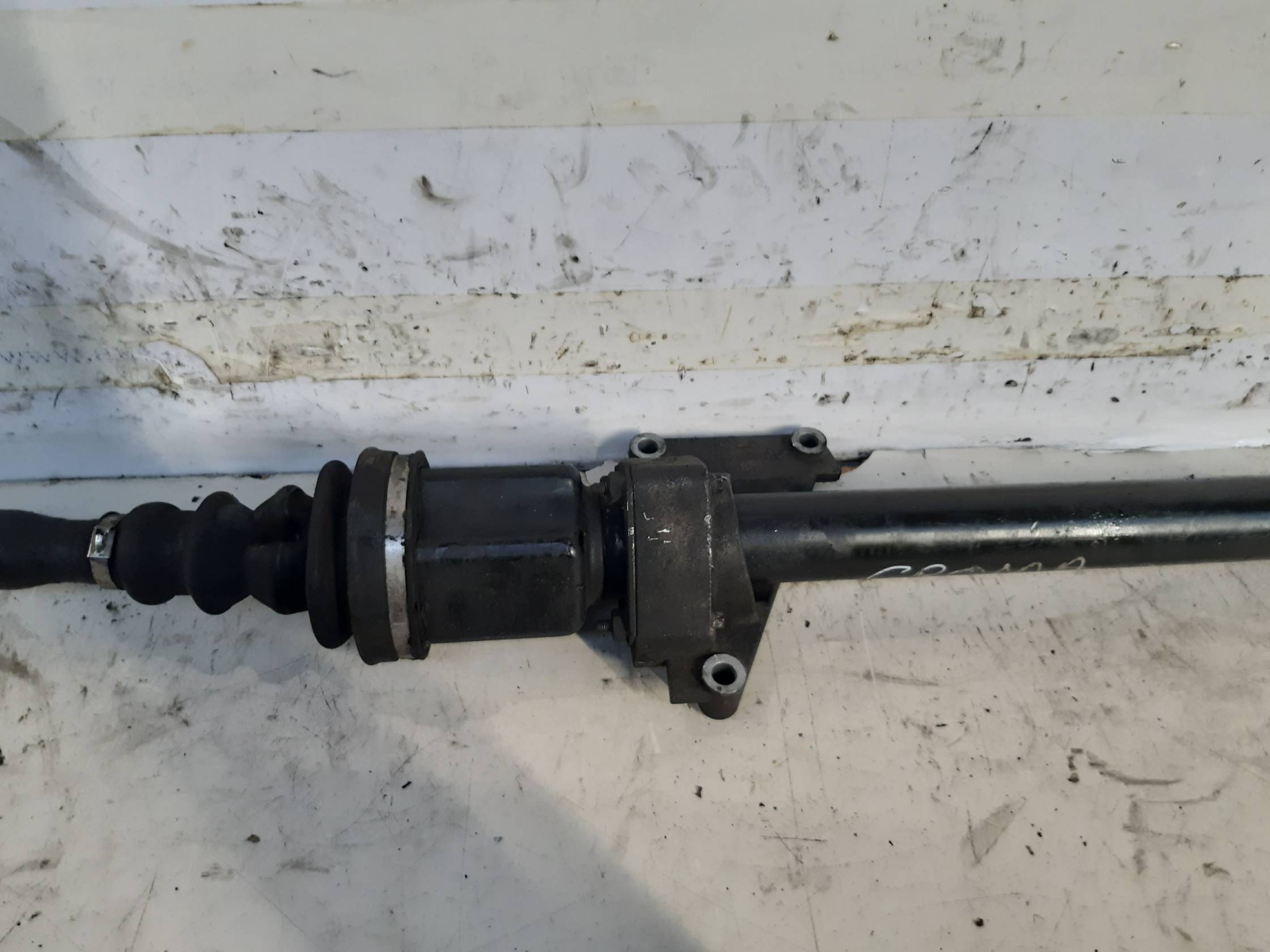 Semialbero ant. compl. dx. Semialbero ant. compl. dx.