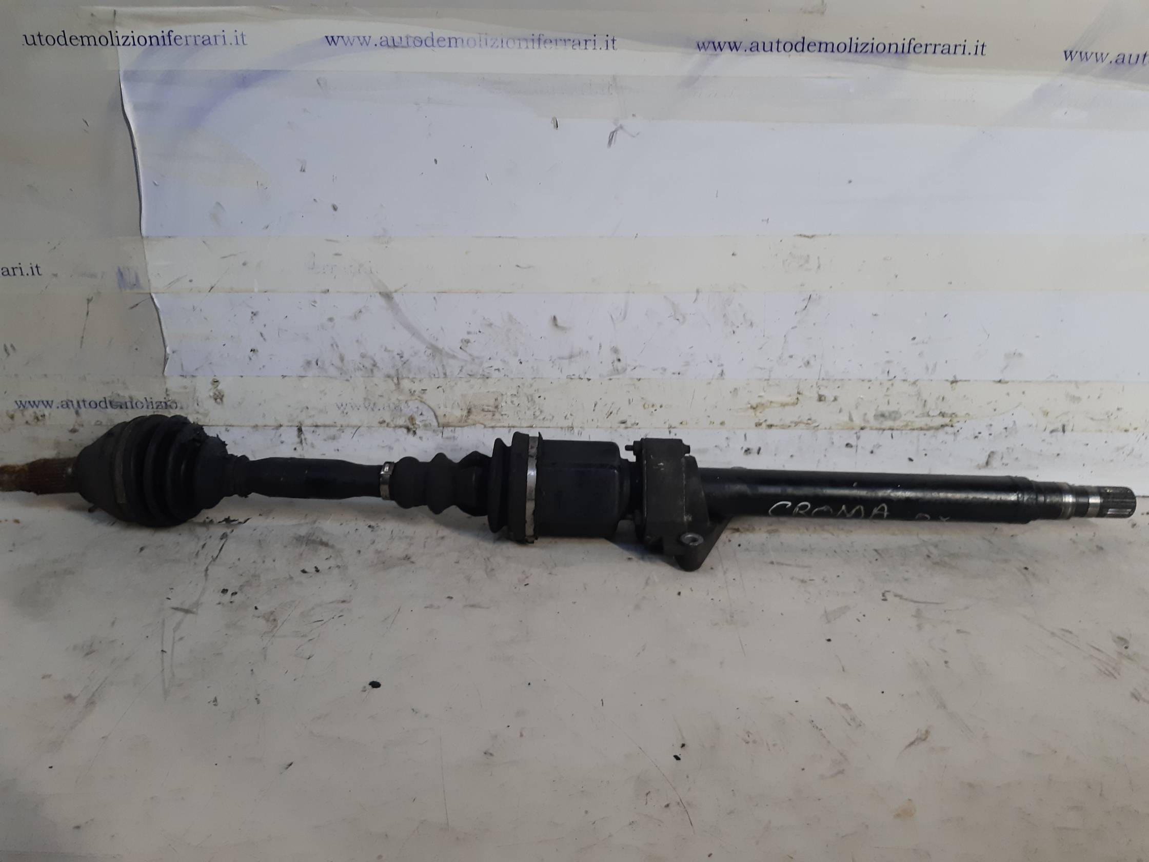 Semialbero ant. compl. dx. Semialbero ant. compl. dx.