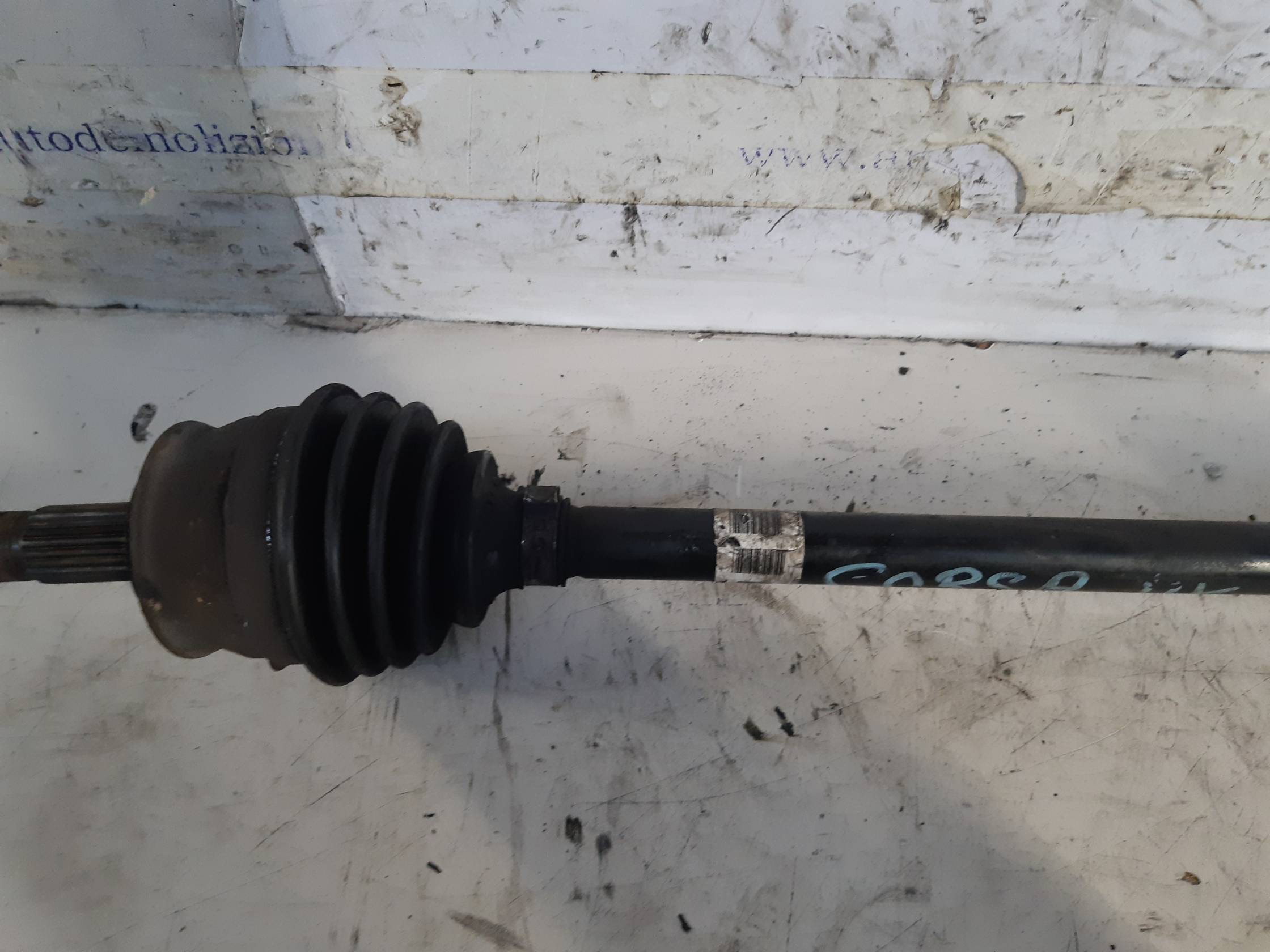 Semialbero ant. compl. dx.