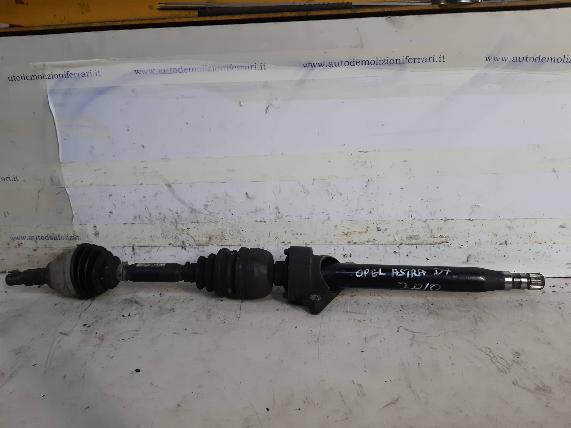 Semialbero ant. compl. dx. Semialbero ant. compl. dx.