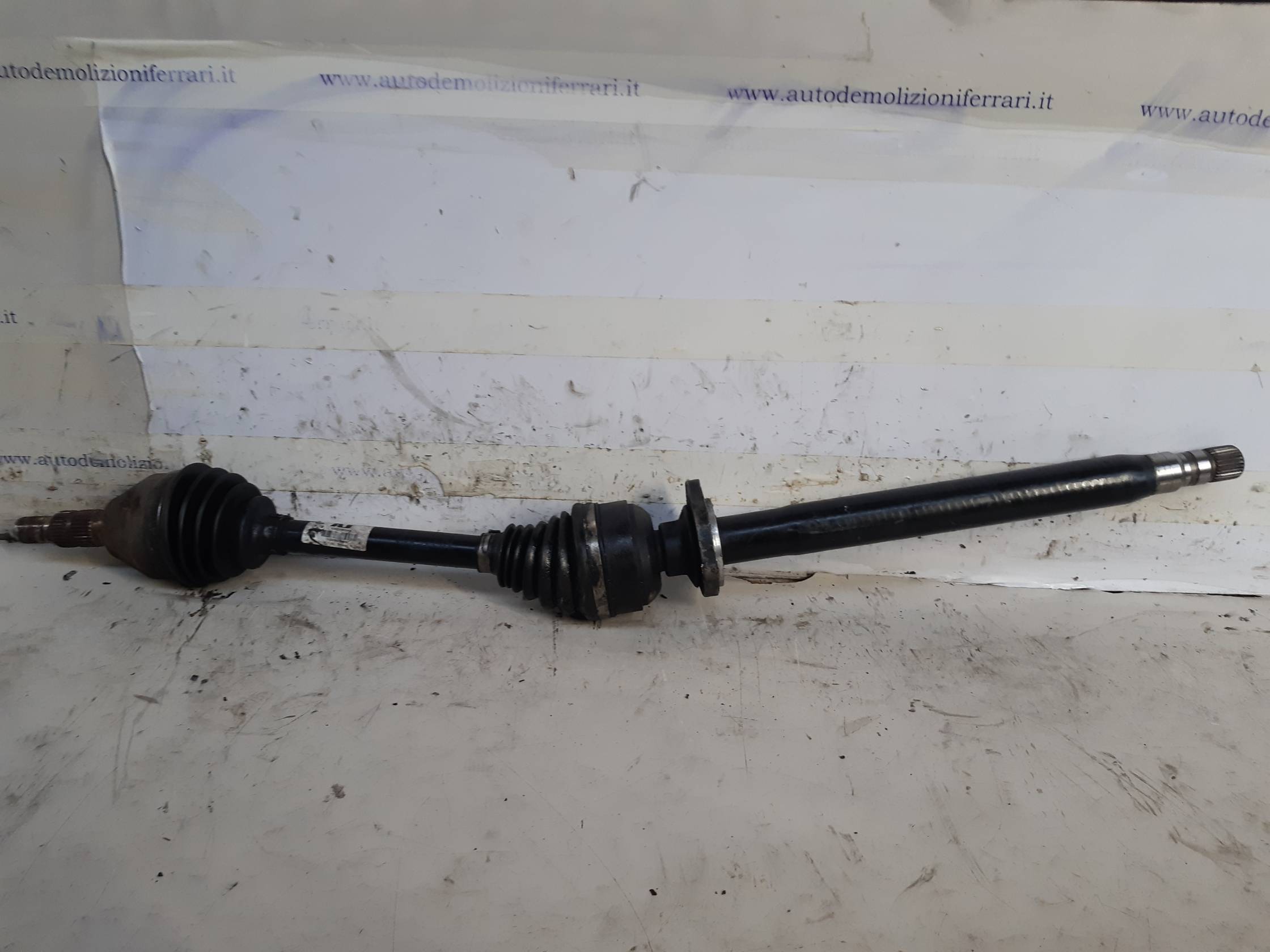 Semialbero ant. compl. dx.