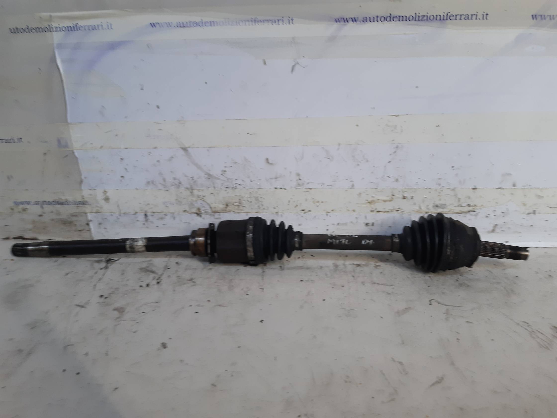 Semialbero ant. compl. dx. Semialbero ant. compl. dx.