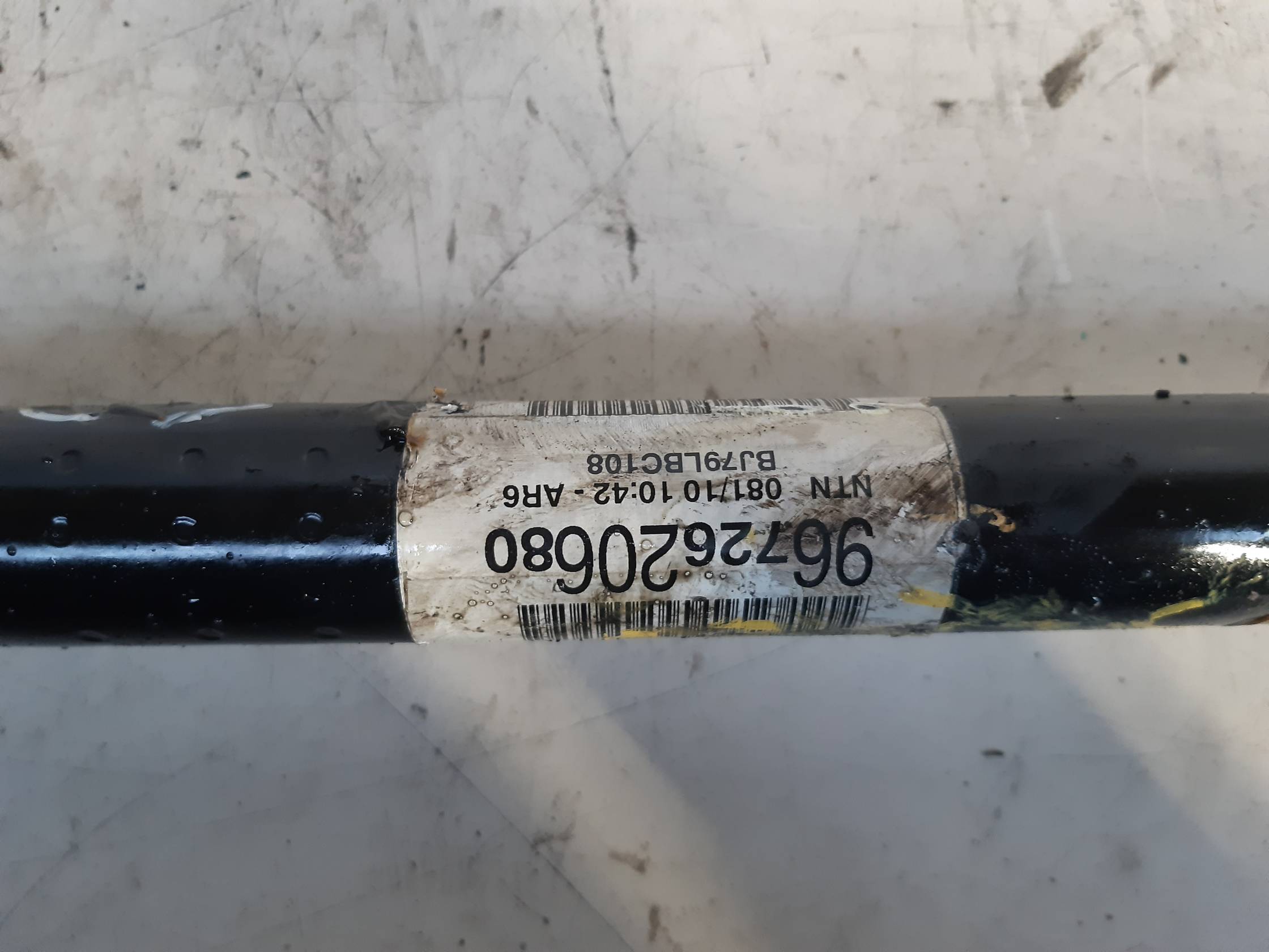 Semialbero ant. compl. dx.