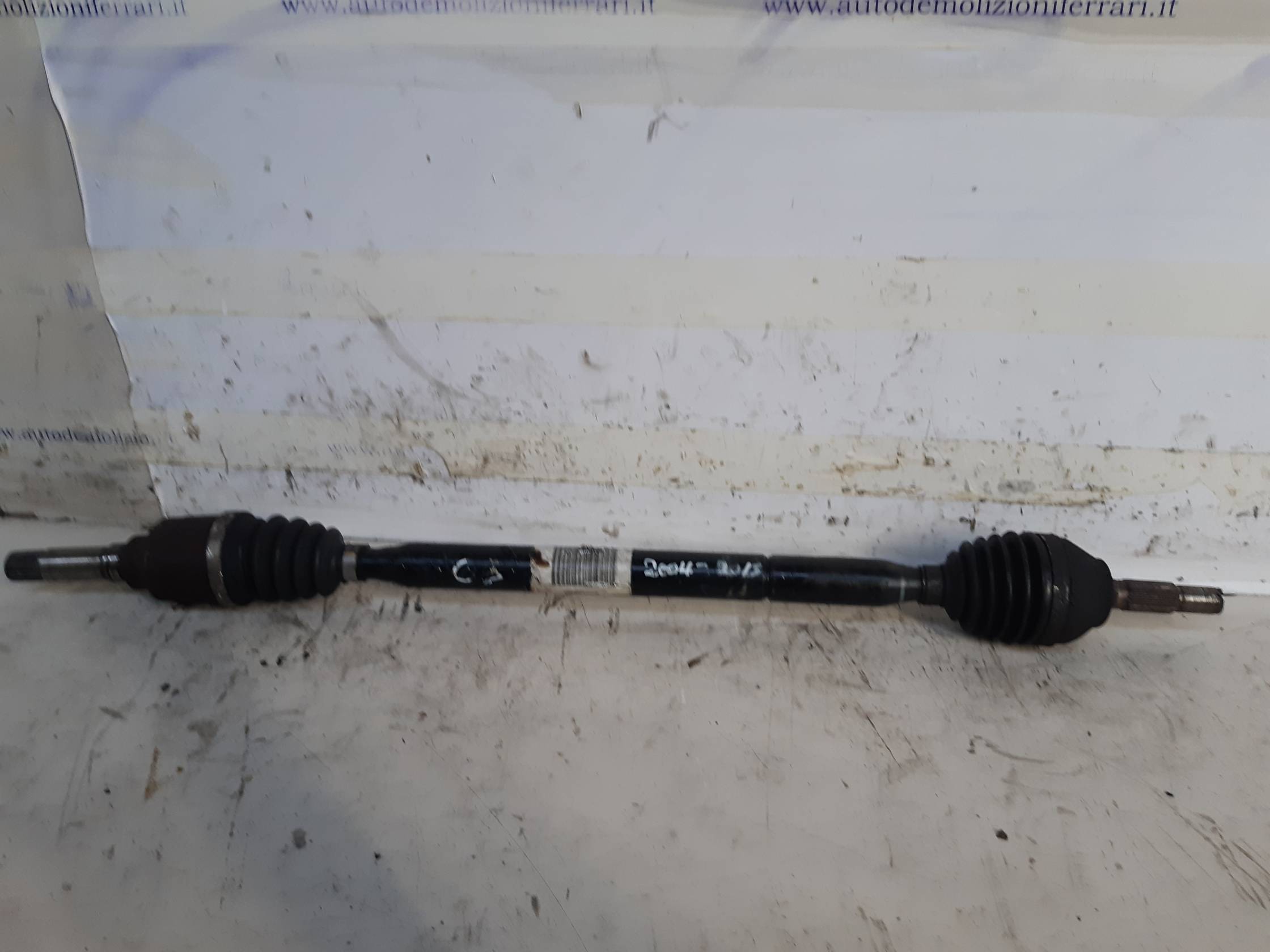 Semialbero ant. compl. dx.