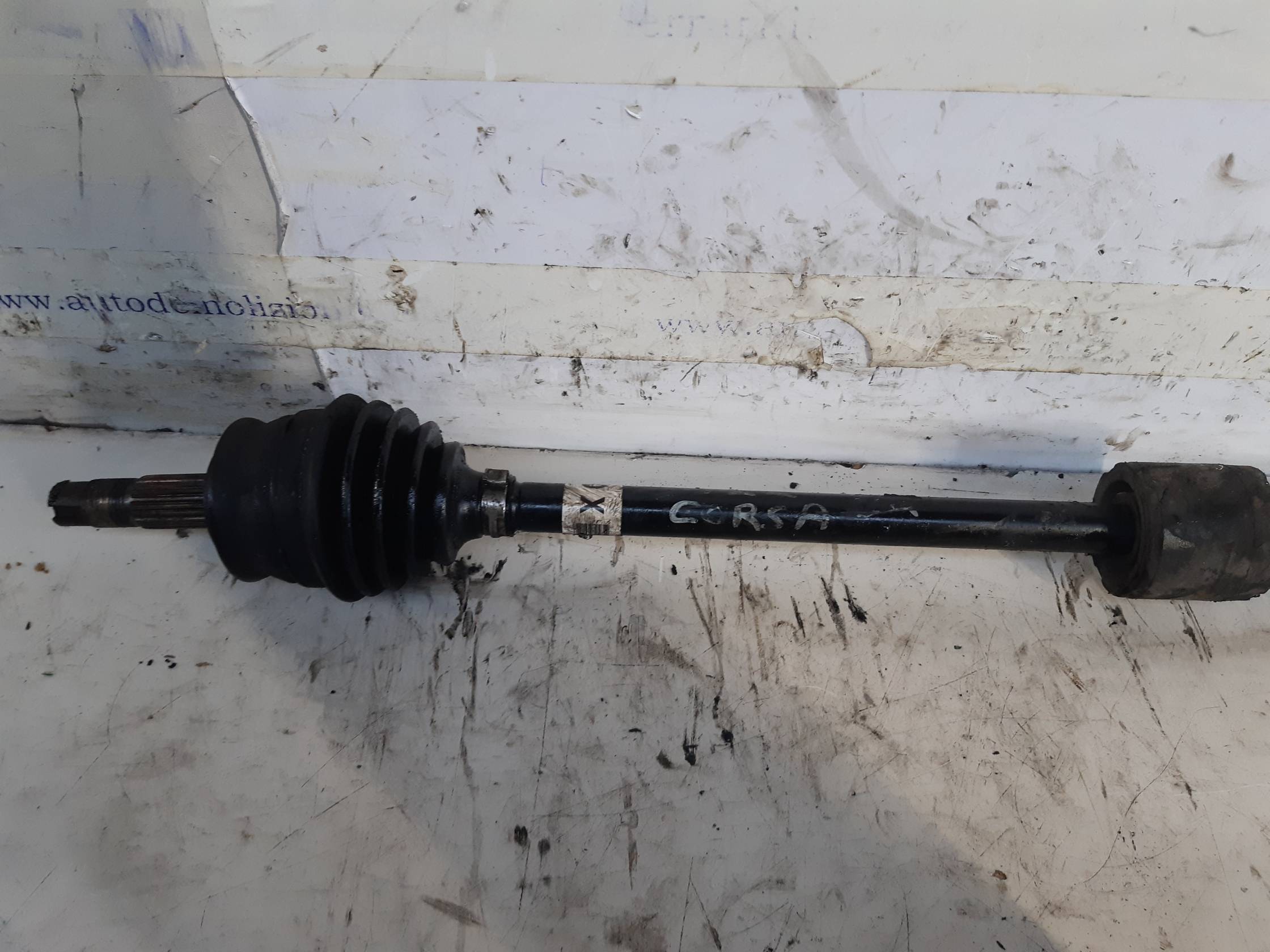 Semialbero ant. compl. dx.