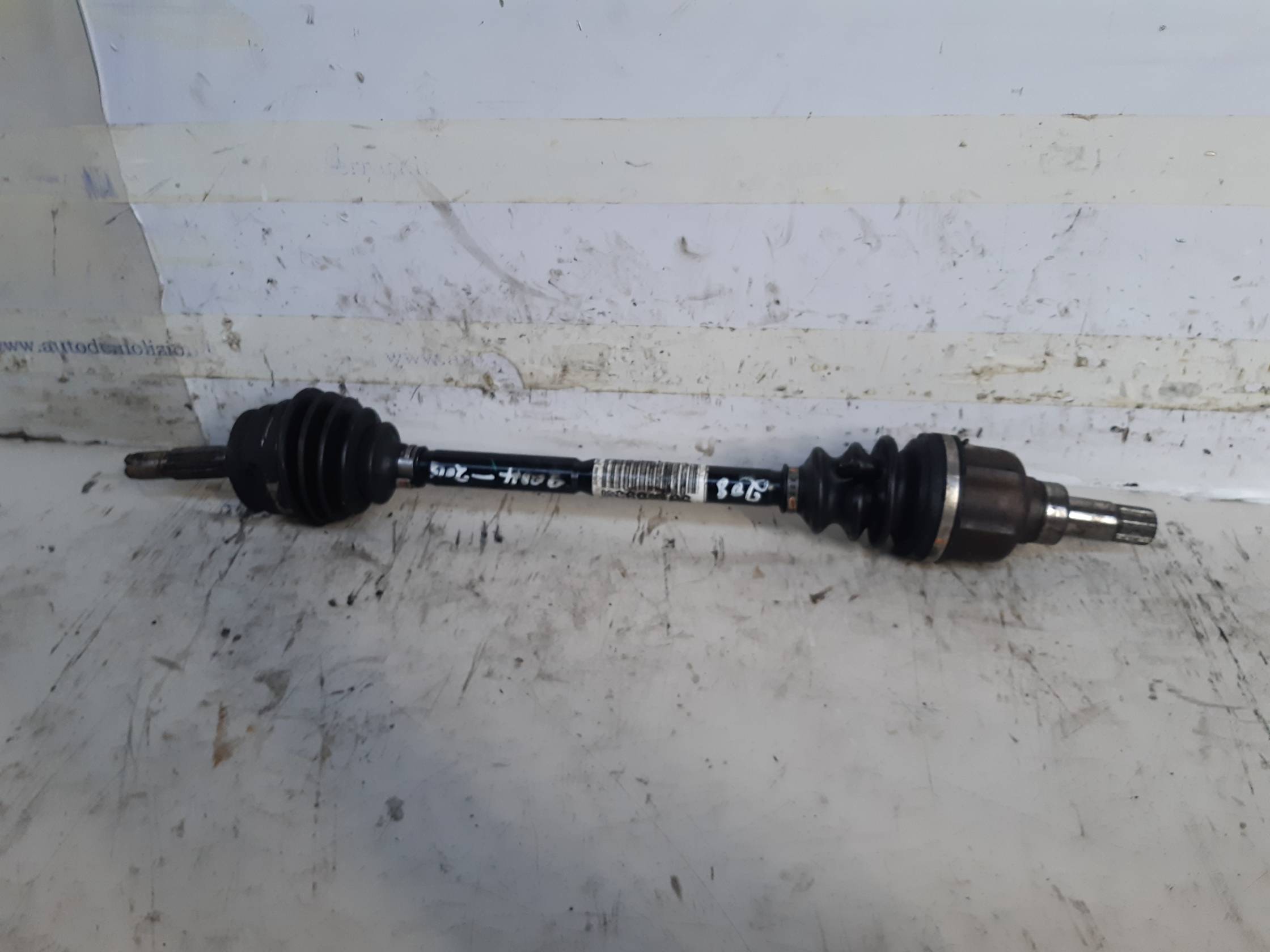 Semialbero ant. compl. sx.