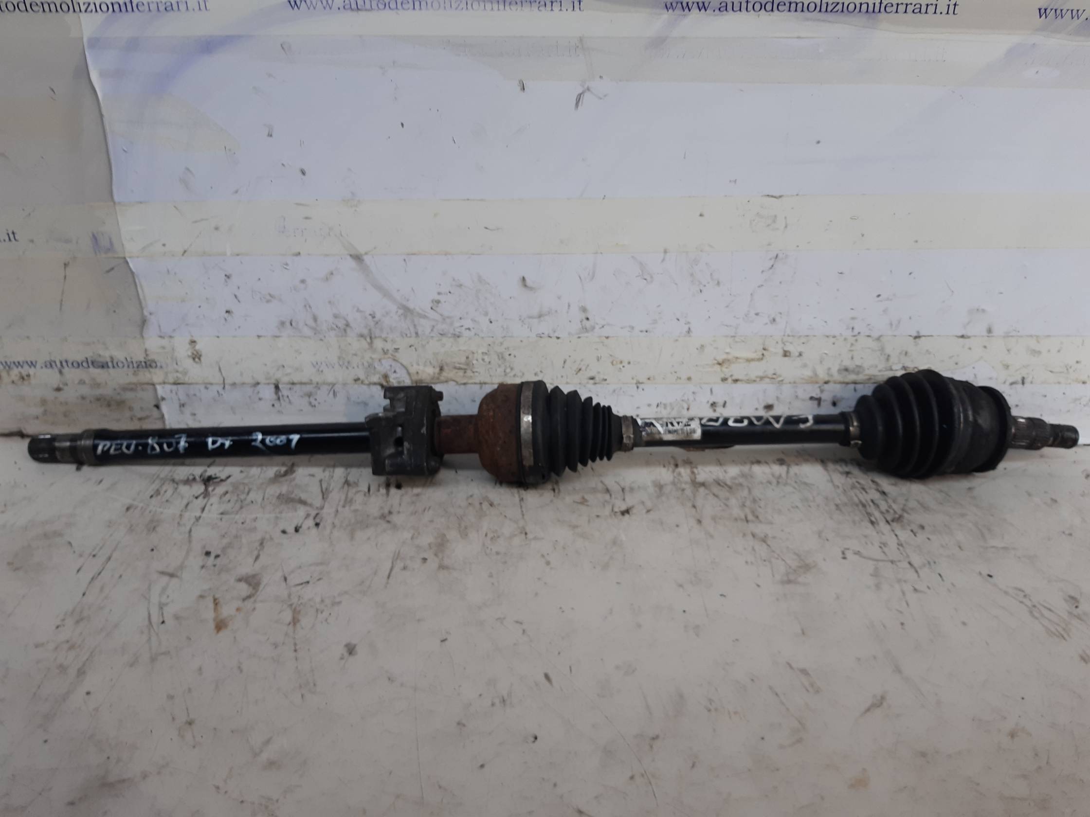 Semialbero ant. compl. dx.