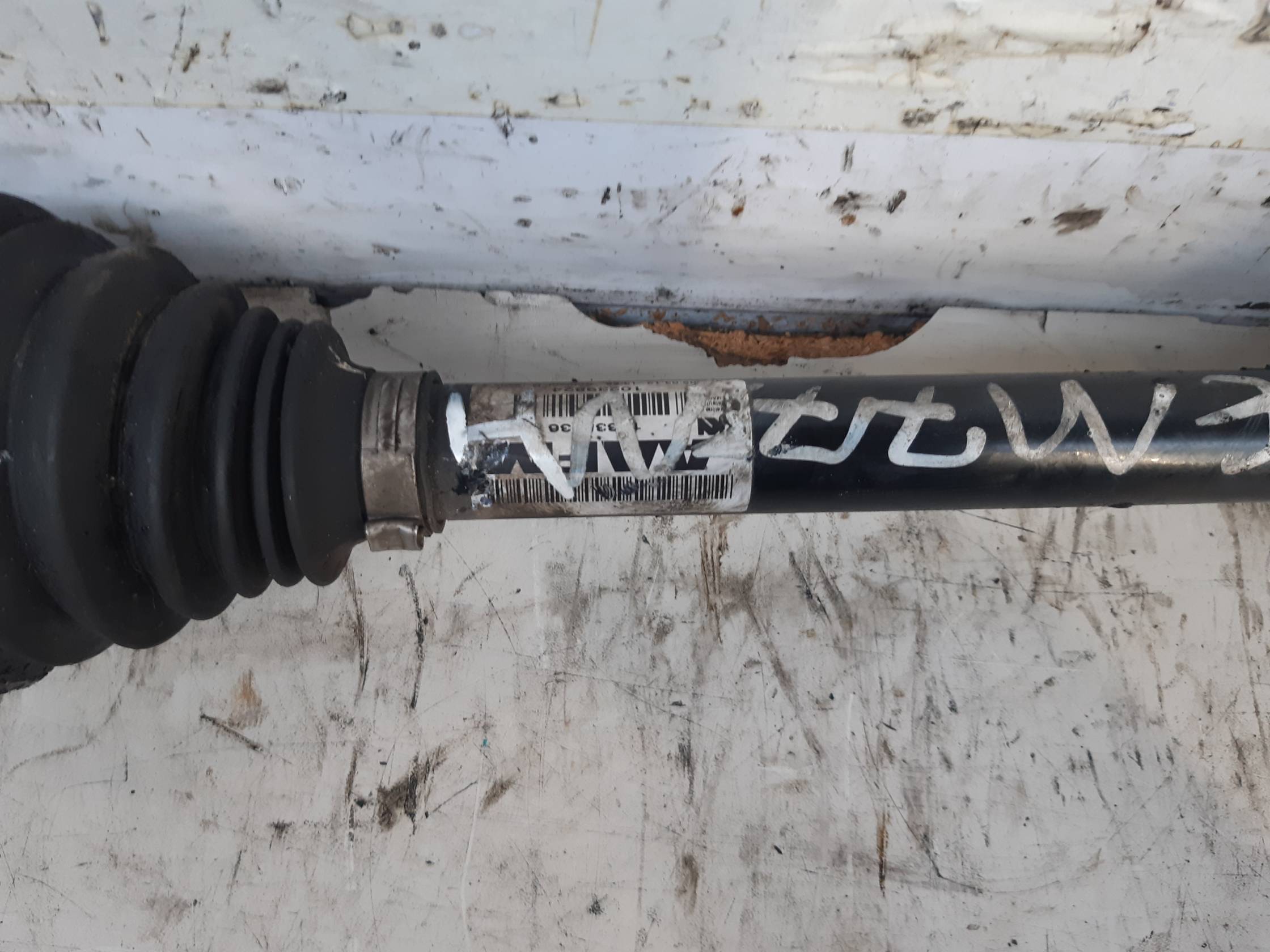 Semialbero ant. compl. dx.