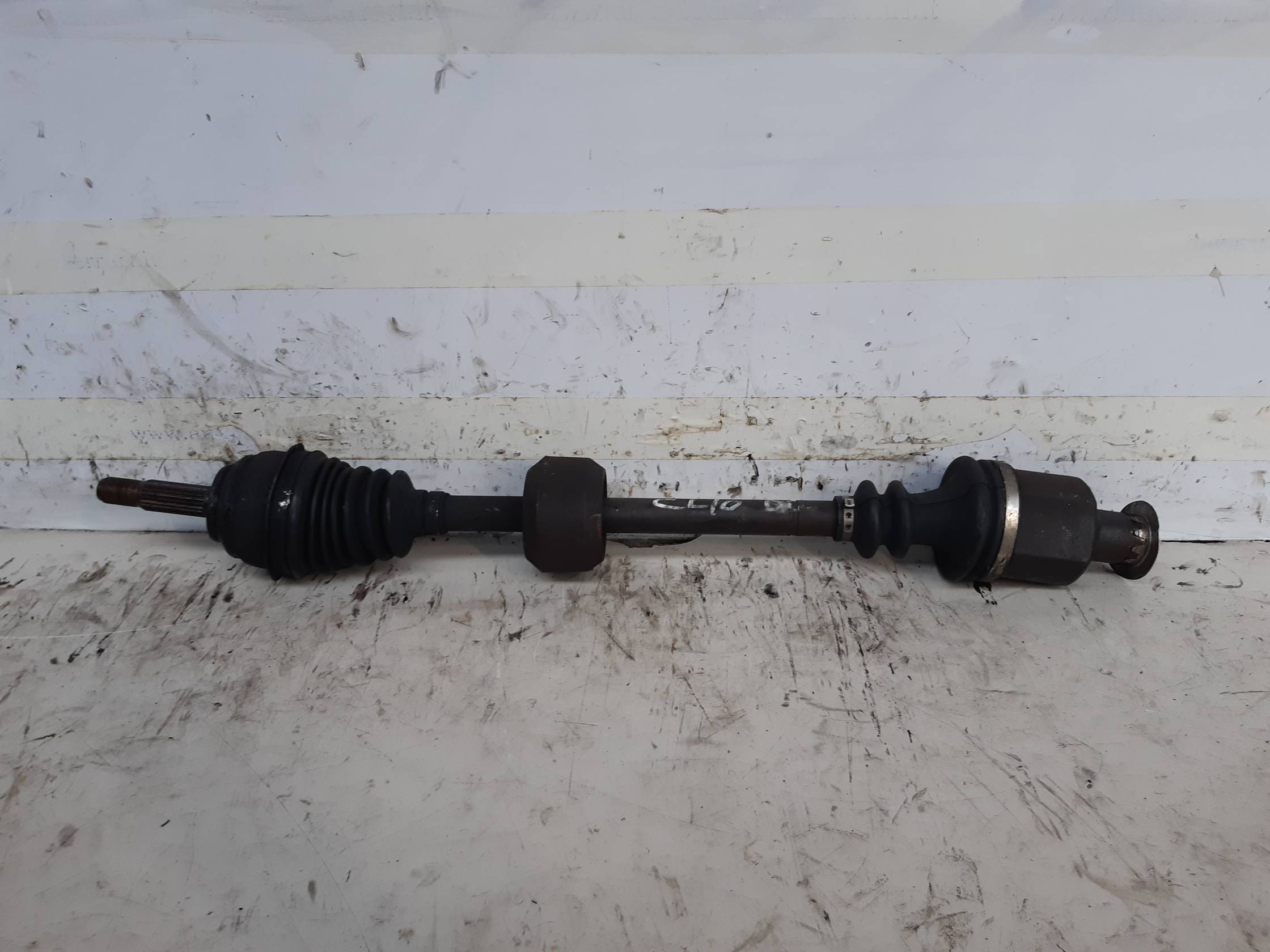 Semialbero ant. compl. dx.