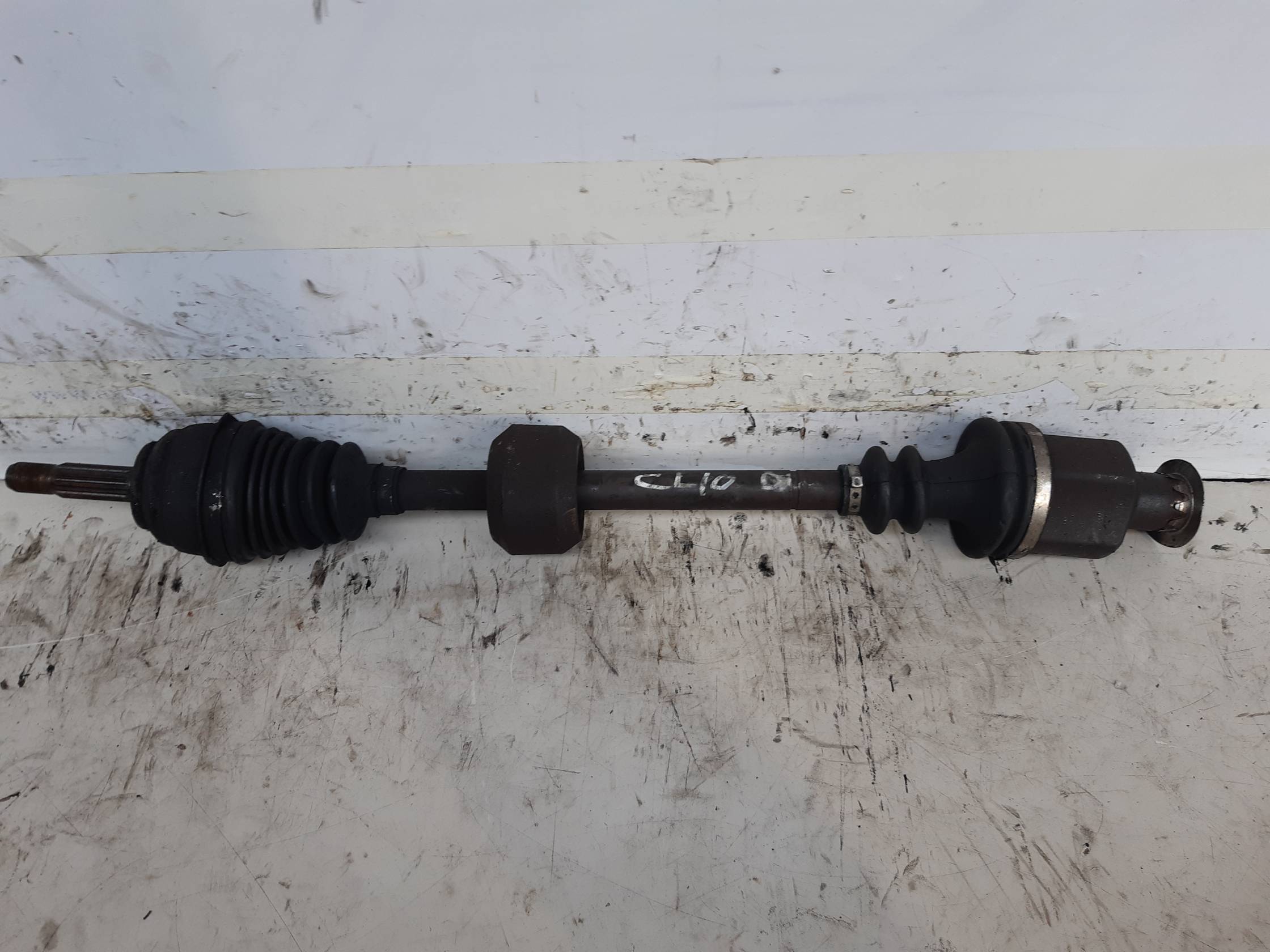 Semialbero ant. compl. dx.