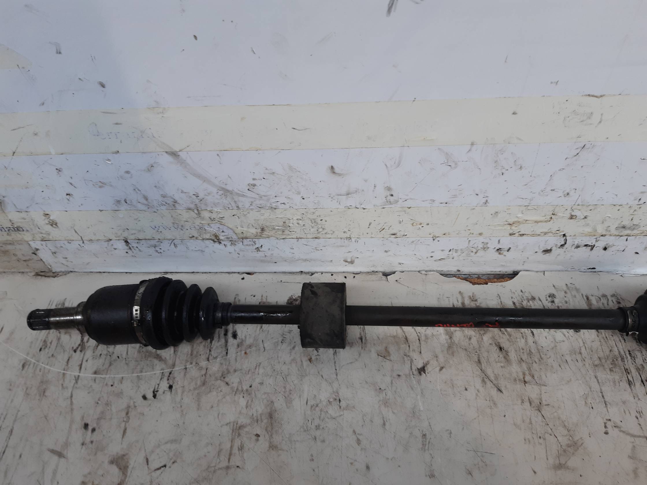 Semialbero ant. compl. dx.