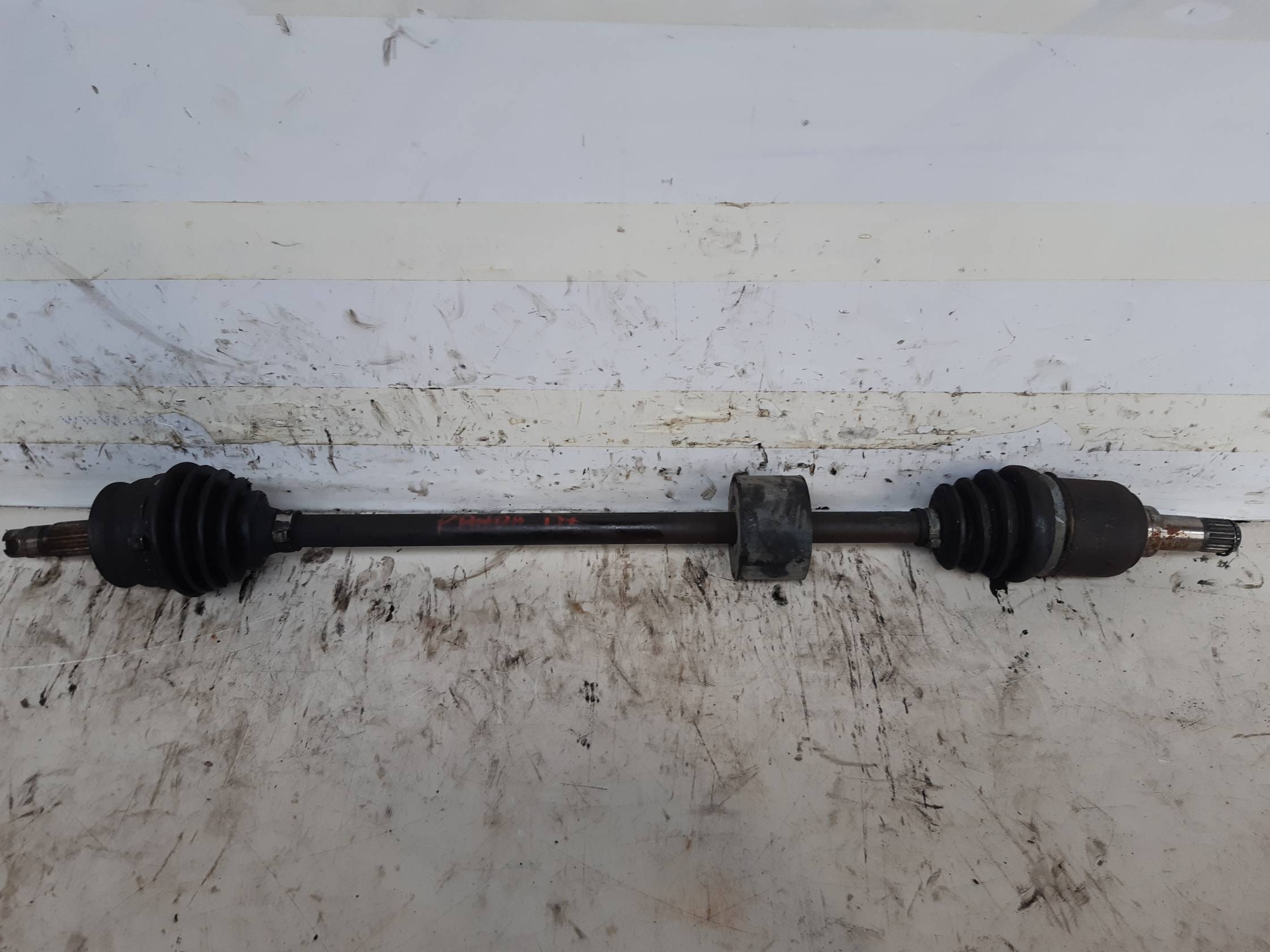 Semialbero ant. compl. dx.