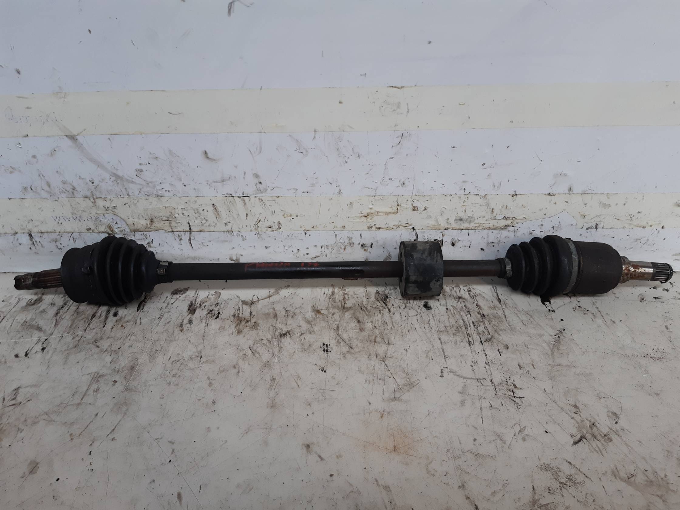 Semialbero ant. compl. dx.