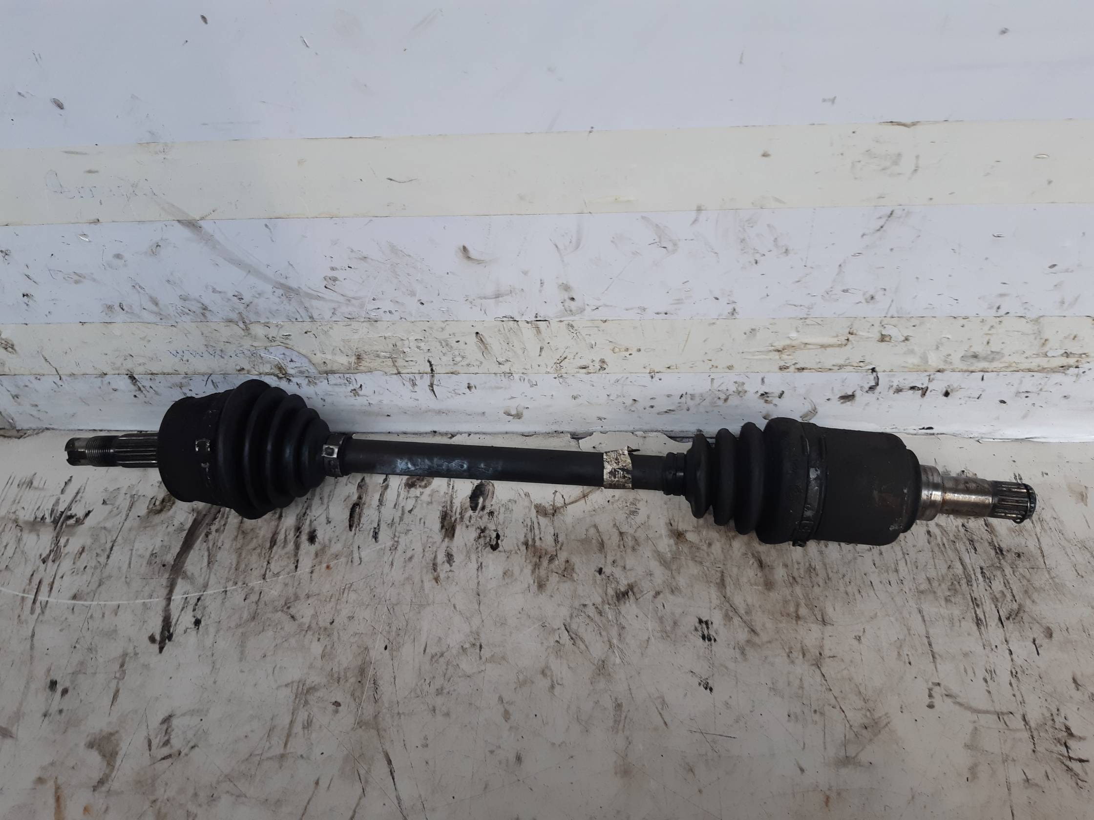 Semialbero ant. compl. sx.