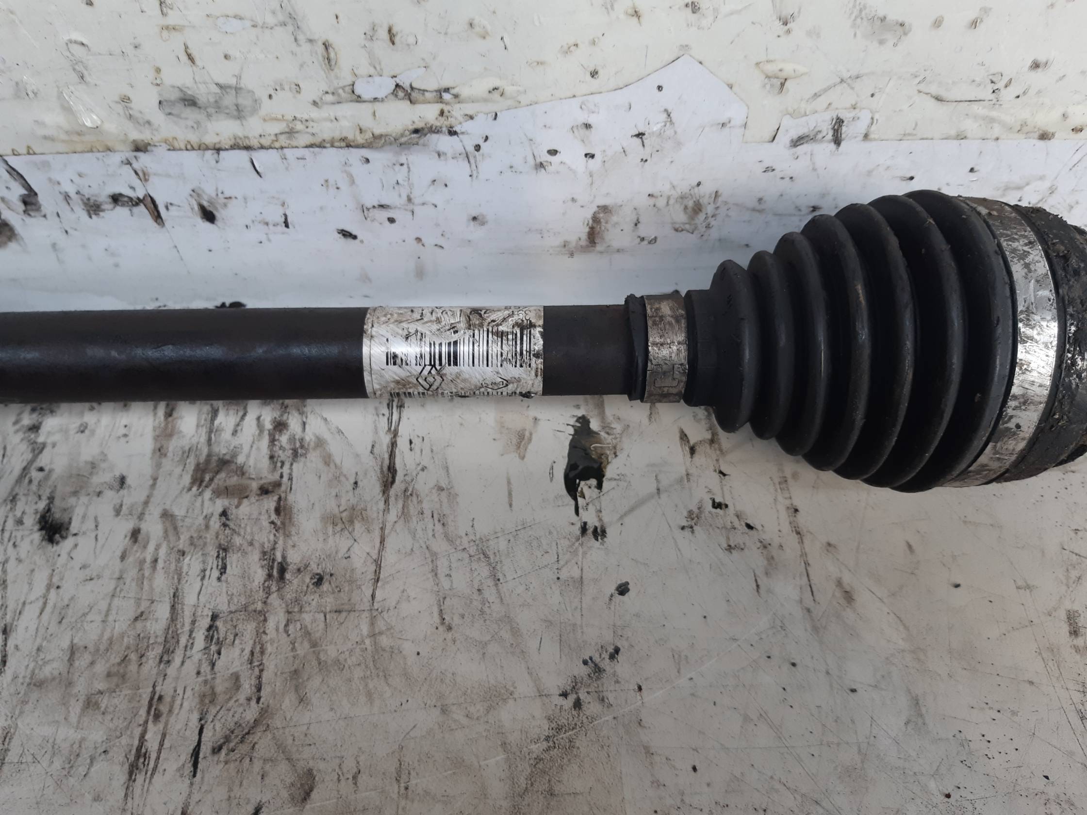 Semialbero ant. compl. dx.