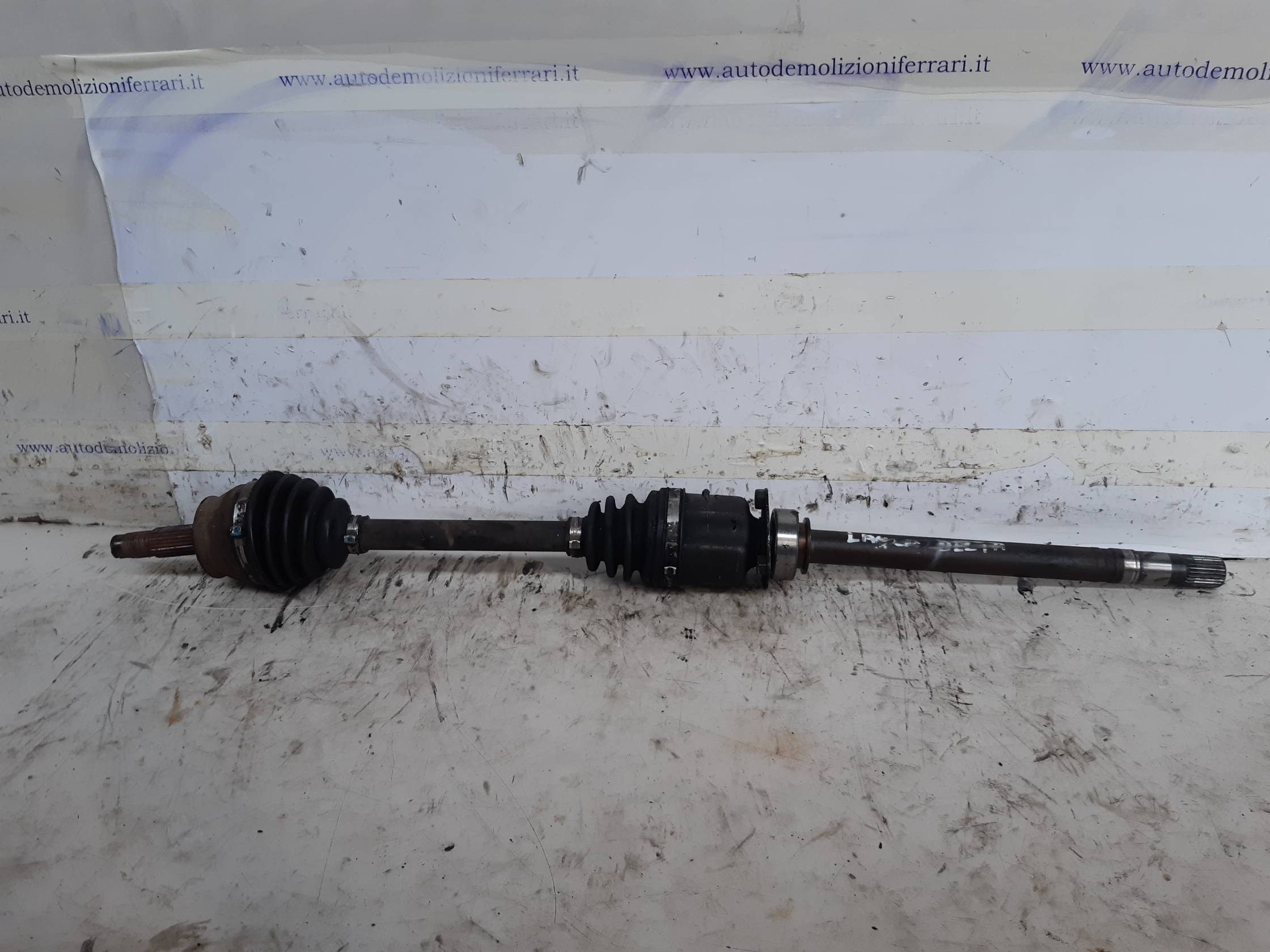 Semialbero ant. compl. dx.