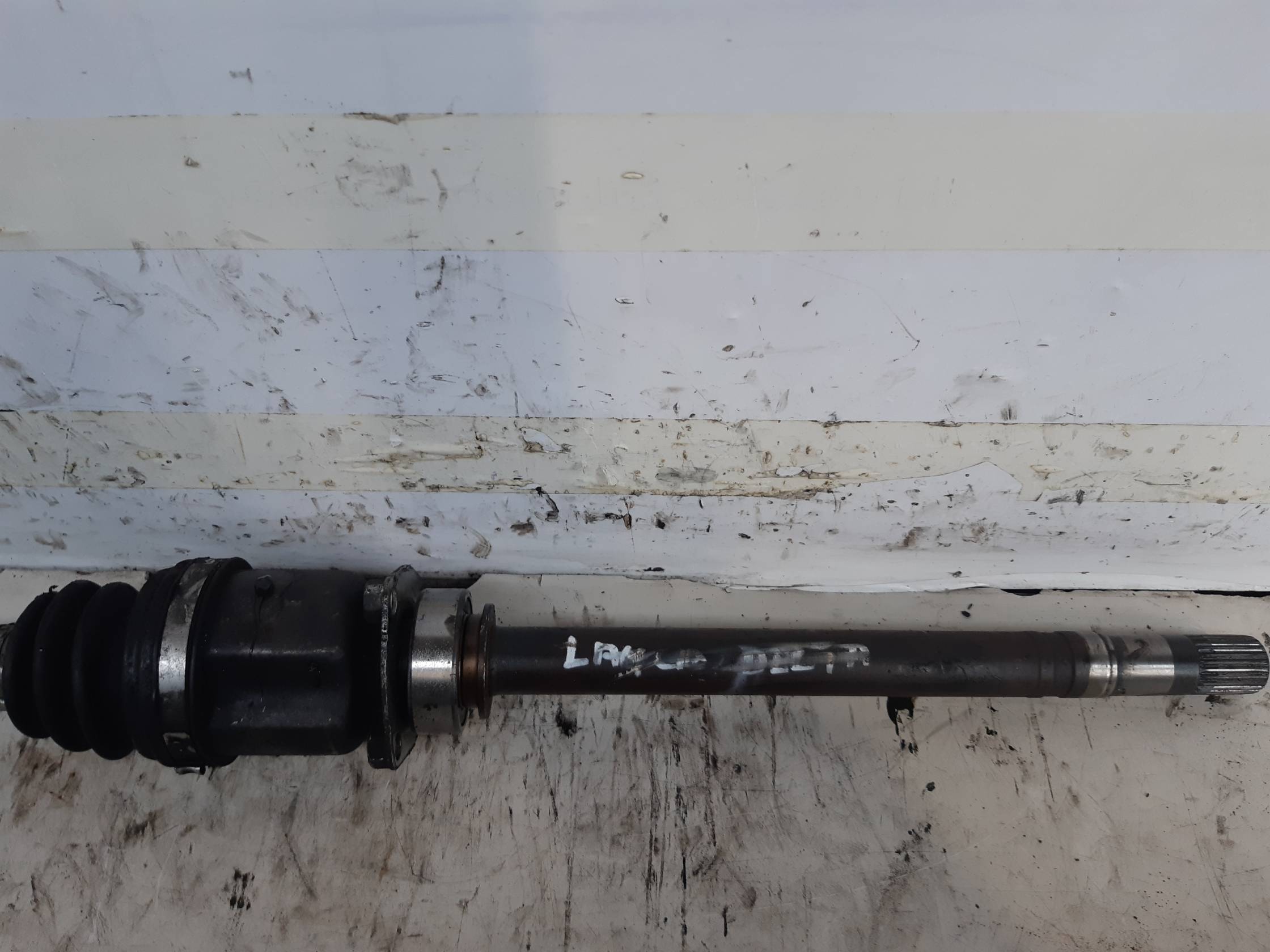 Semialbero ant. compl. dx.