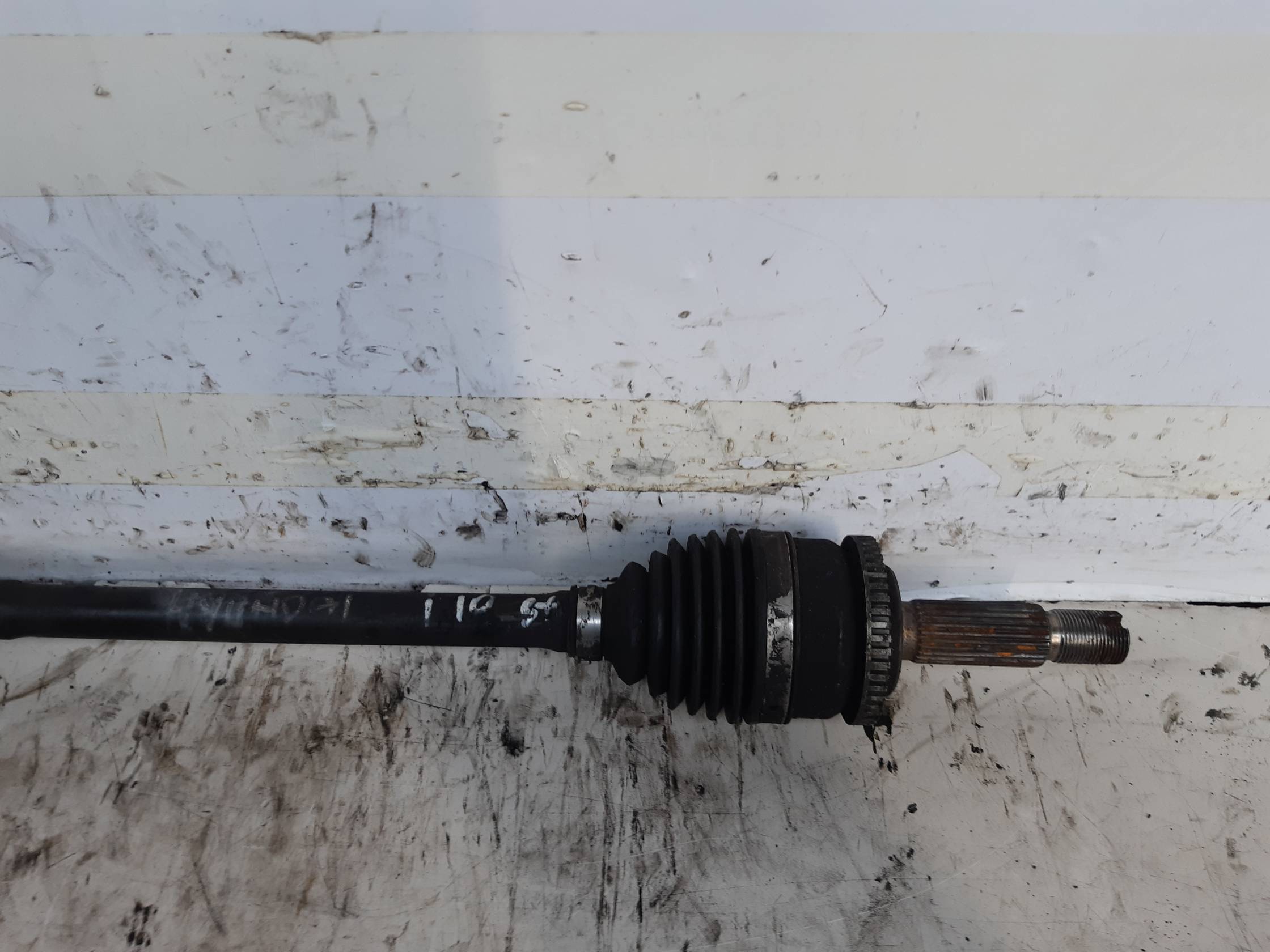 Semialbero ant. compl. sx.