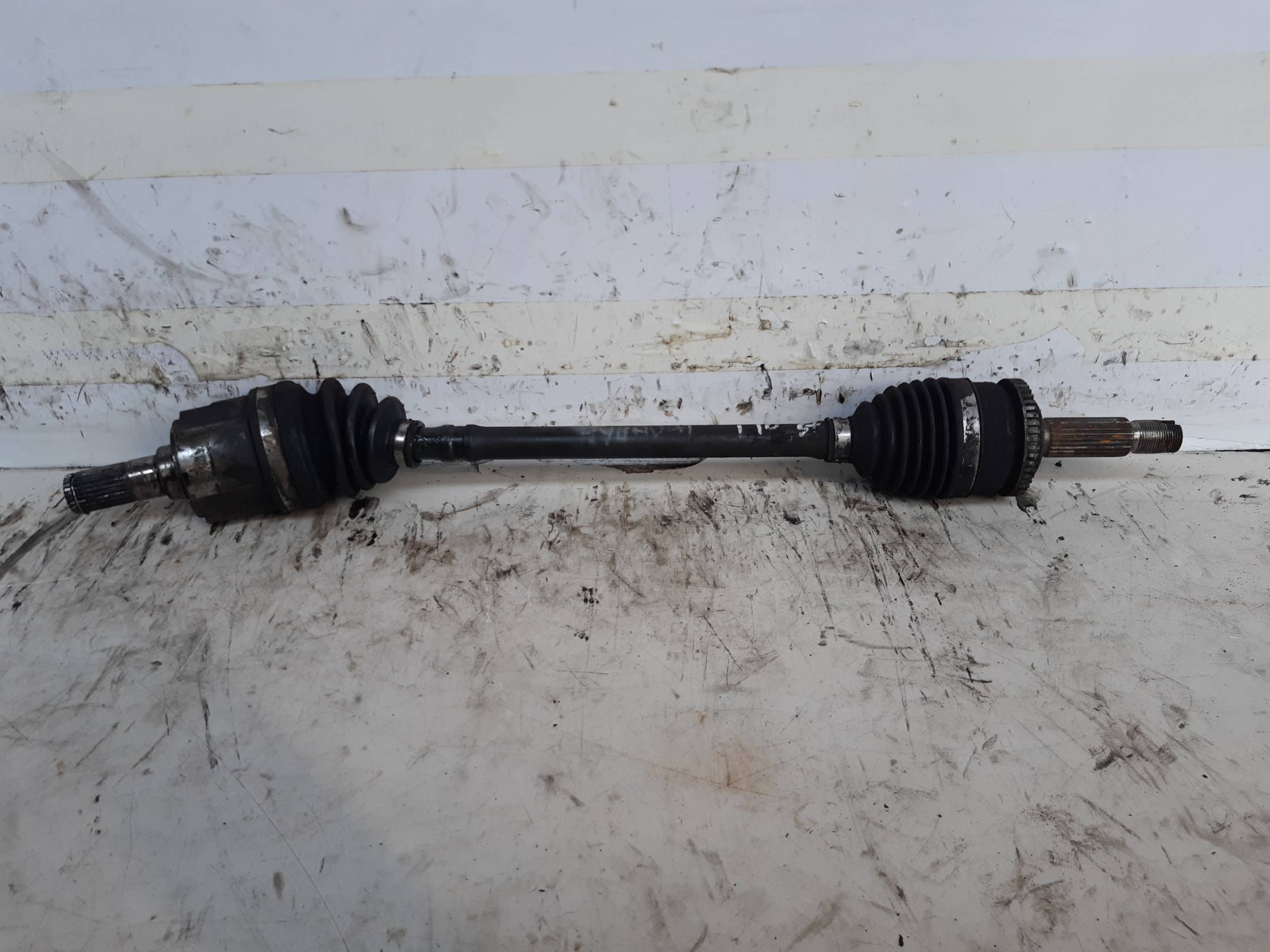 Semialbero ant. compl. sx.