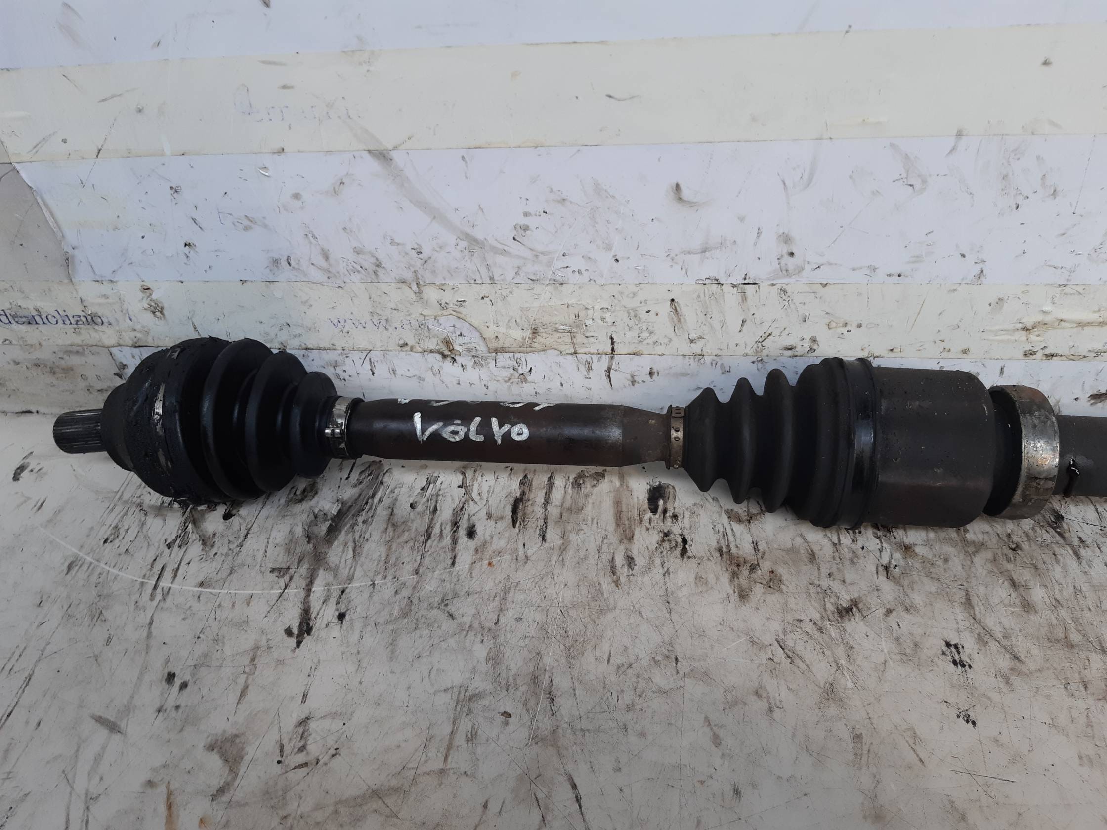 Semialbero ant. compl. dx.