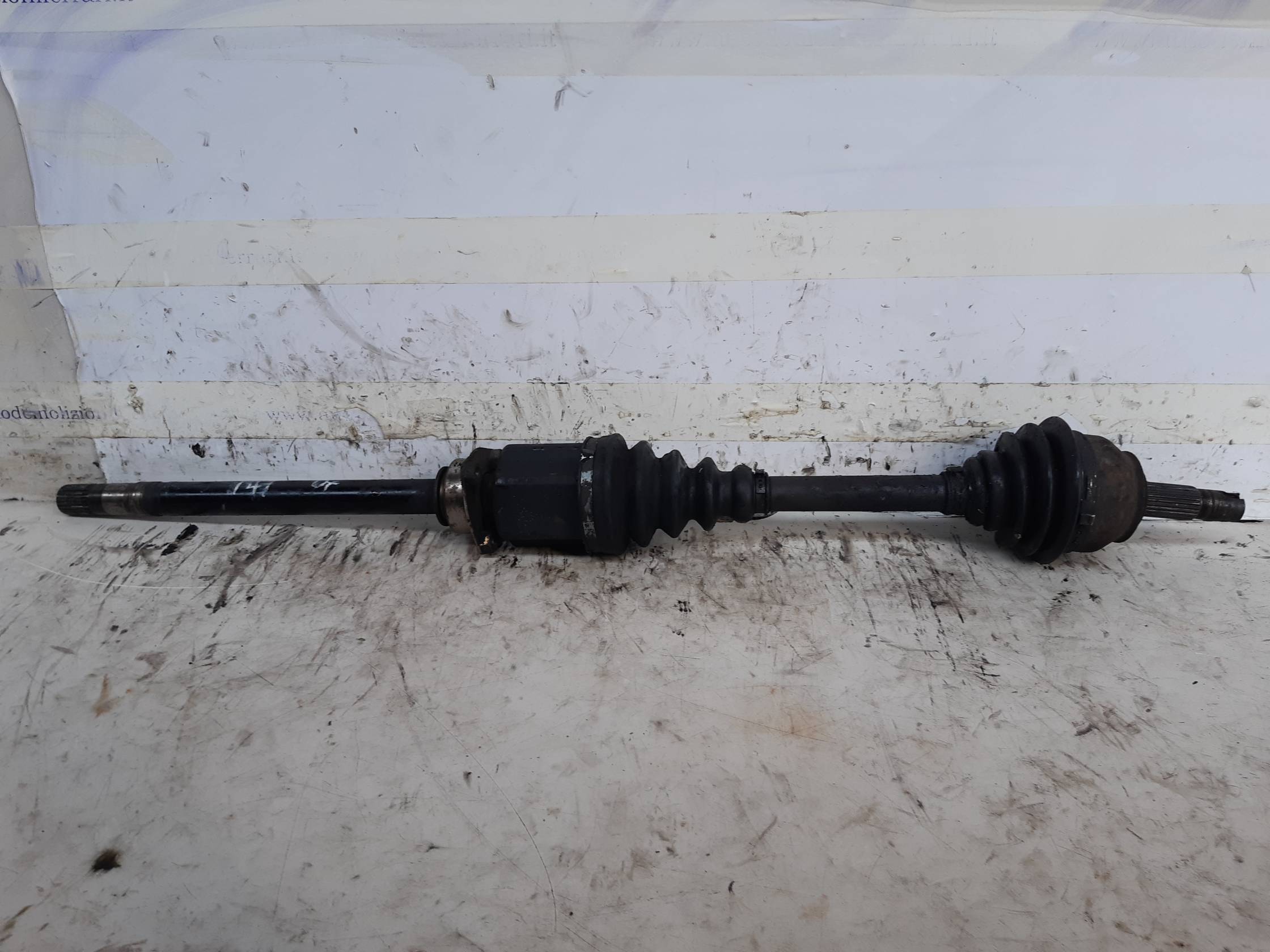 Semialbero ant. compl. dx.