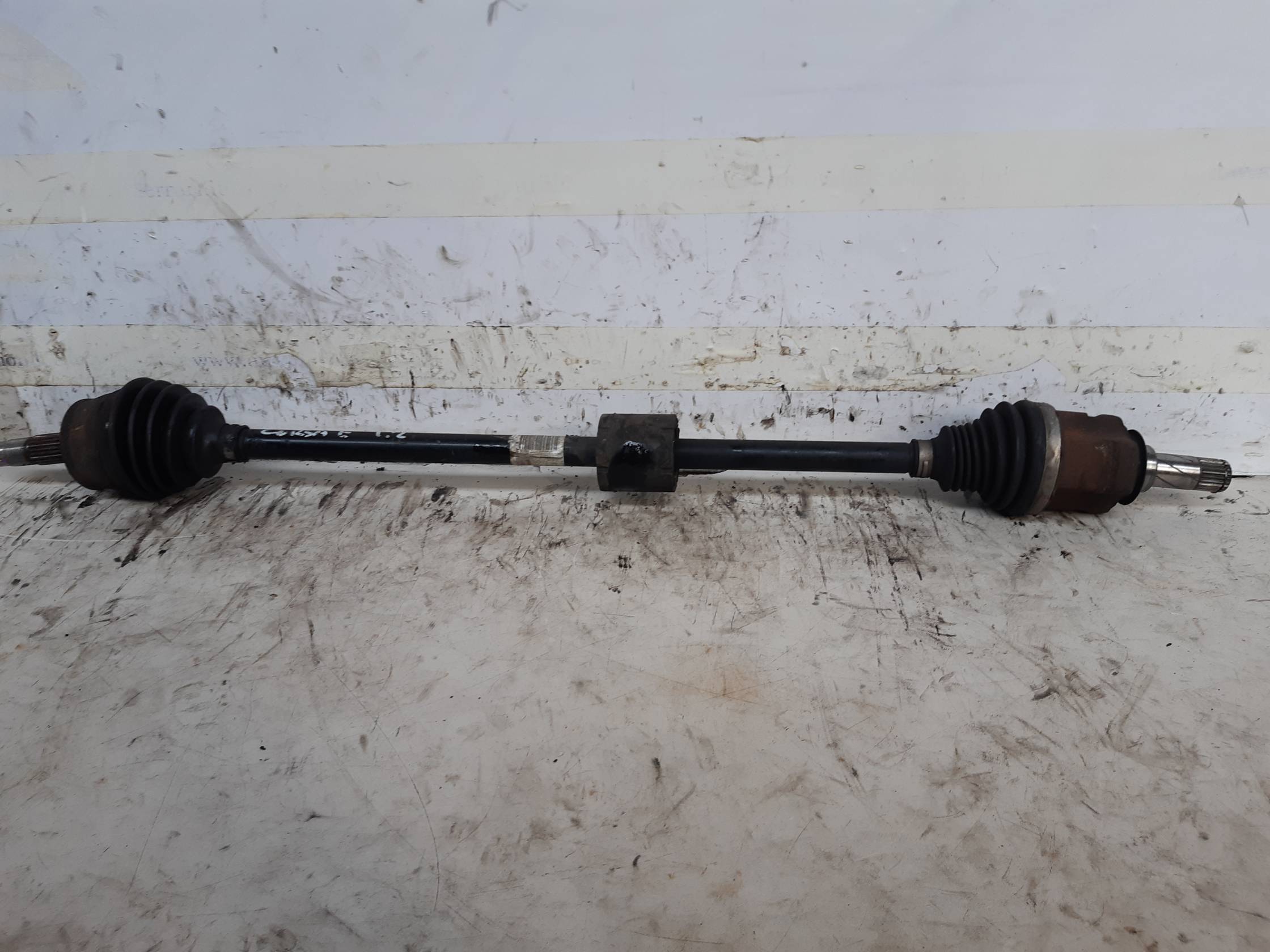 Semialbero ant. compl. dx.