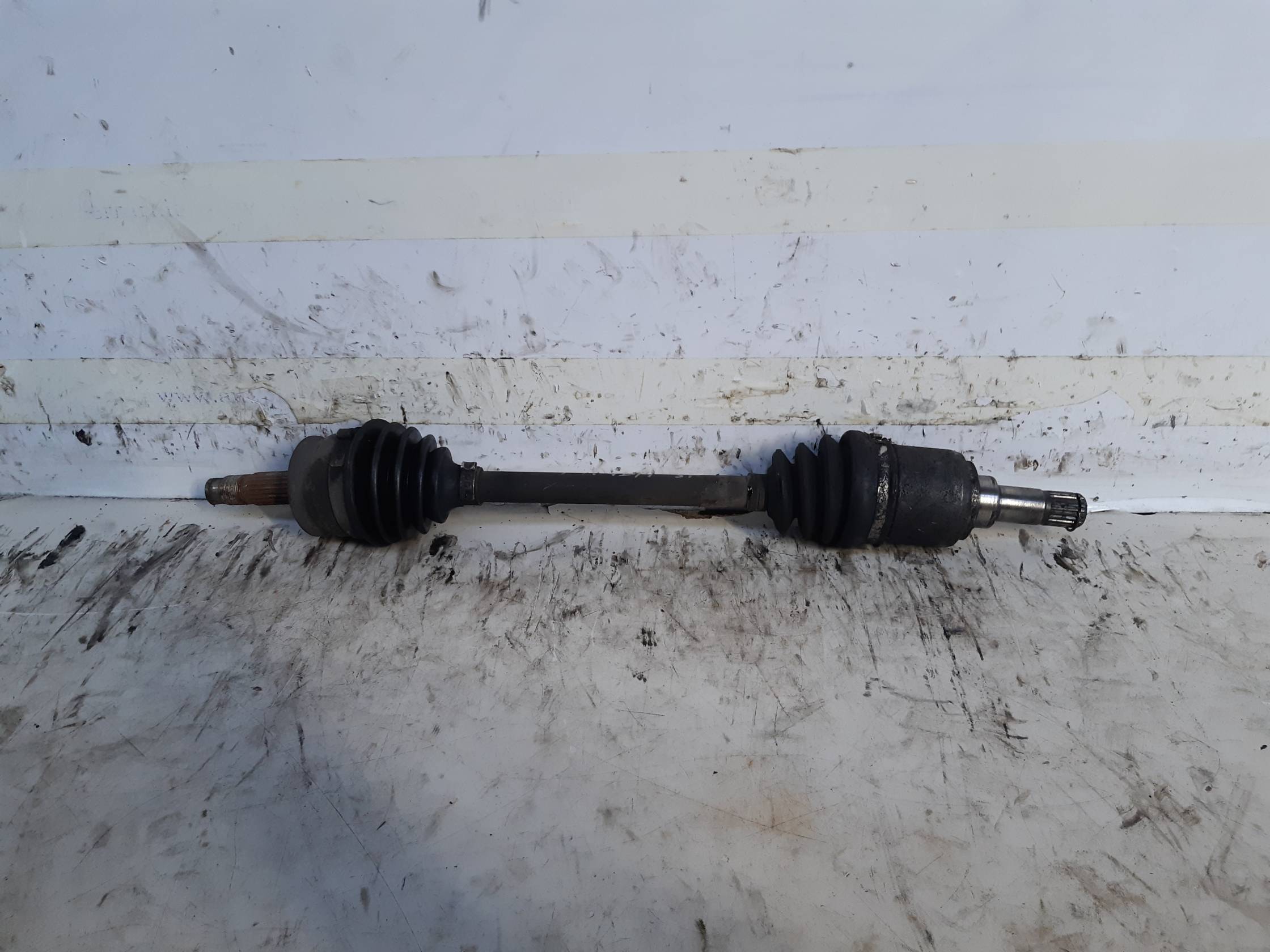 Semialbero ant. compl. sx.