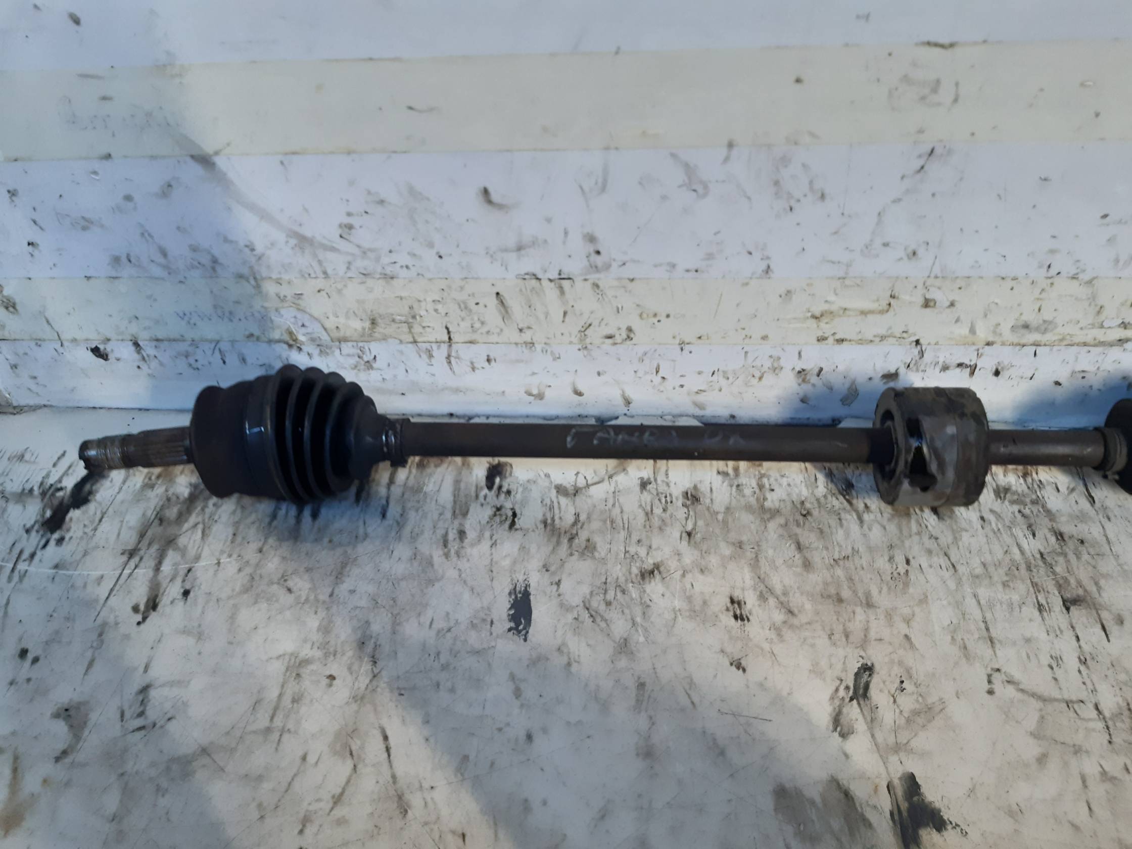 Semialbero ant. compl. dx.