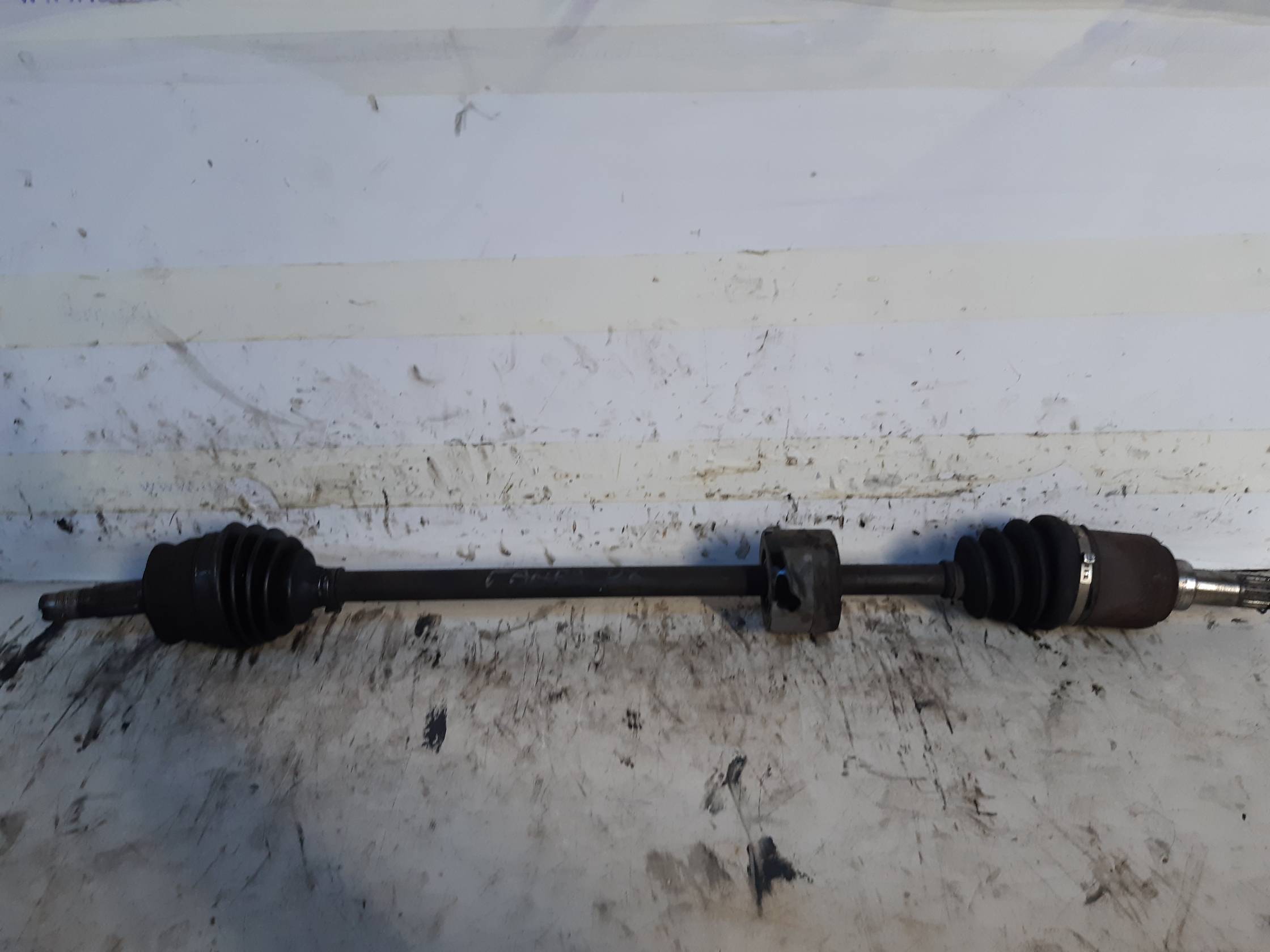 Semialbero ant. compl. dx.