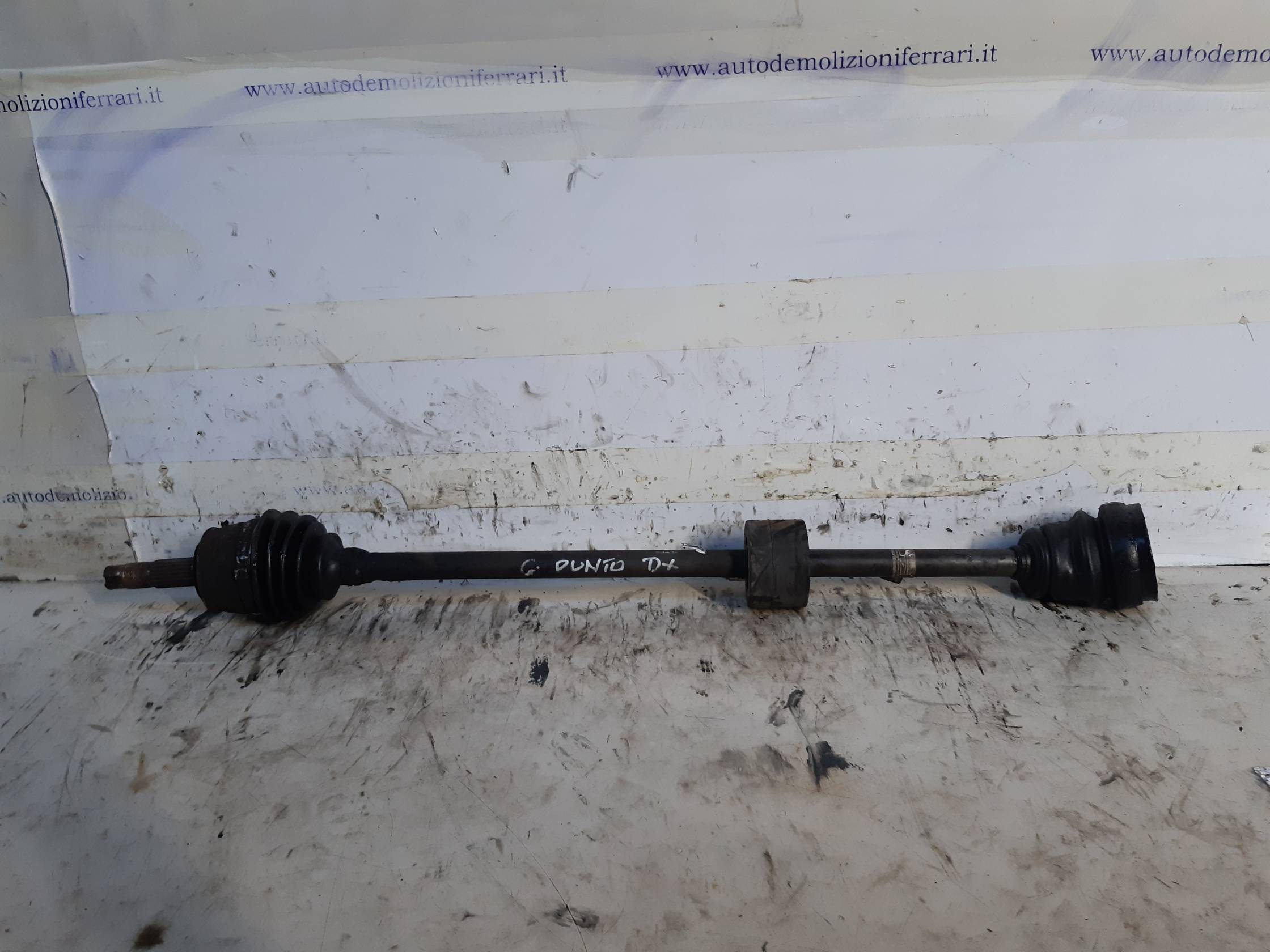 Semialbero ant. compl. dx.