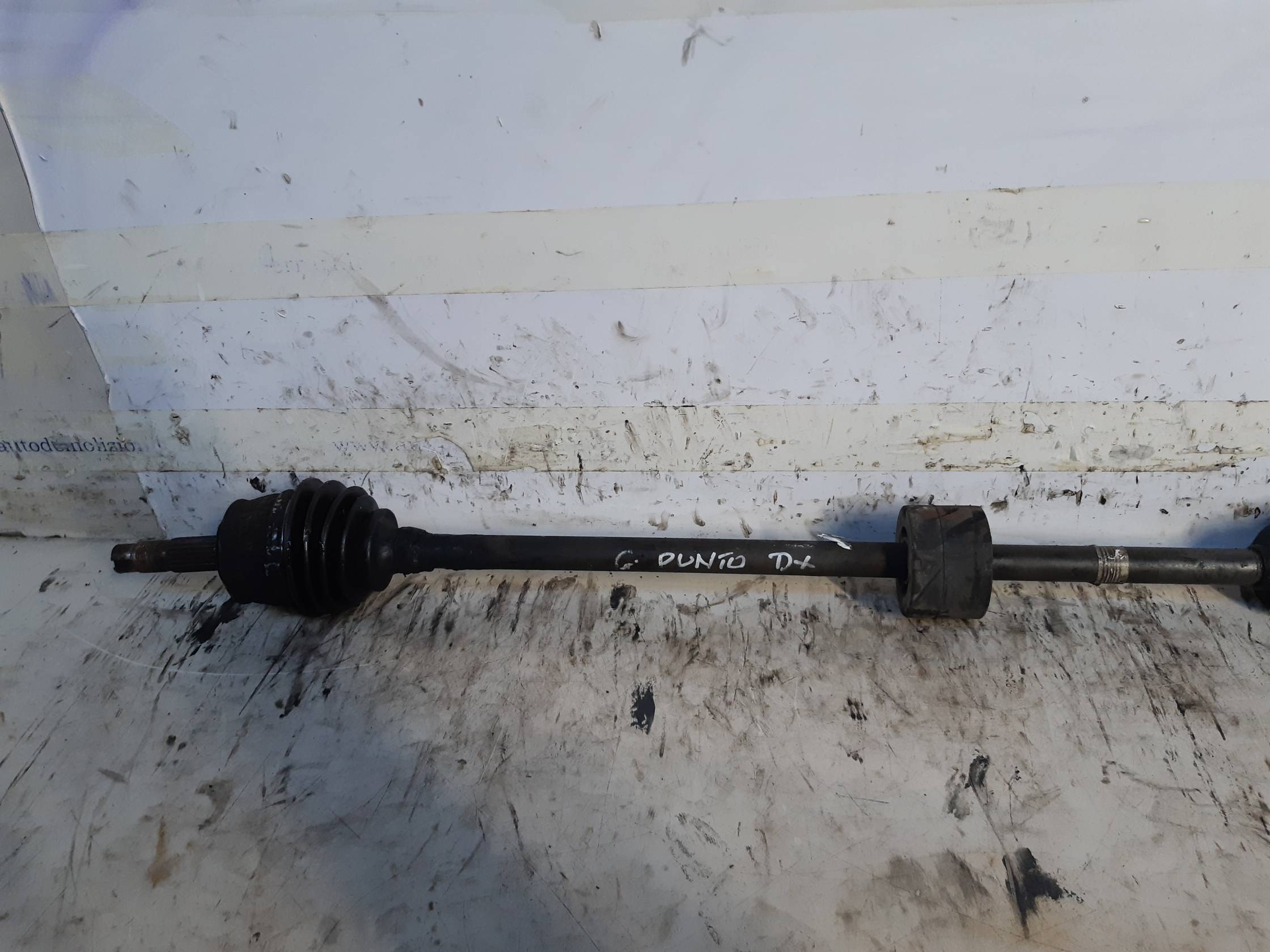 Semialbero ant. compl. dx.