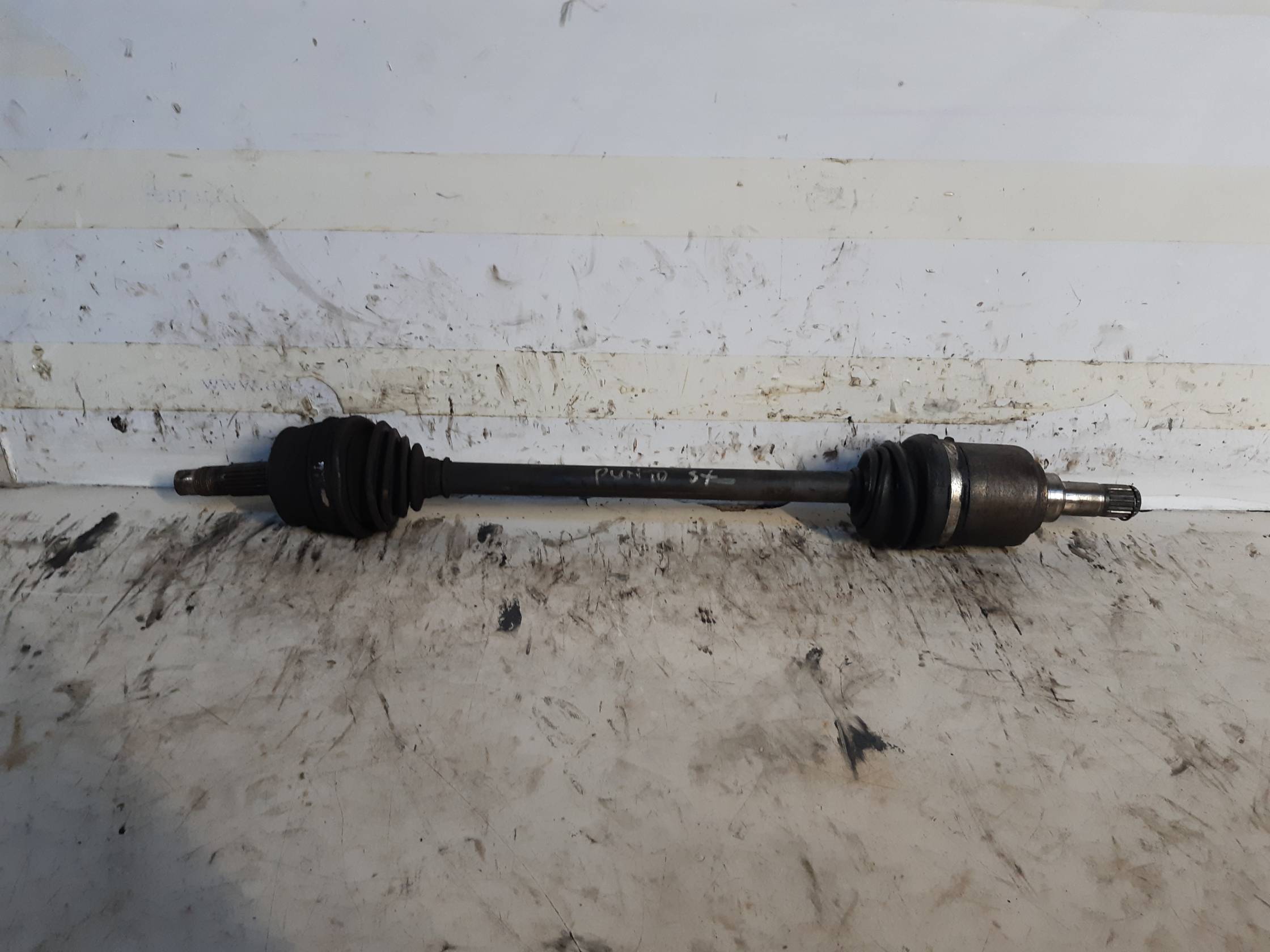 Semialbero ant. compl. sx.