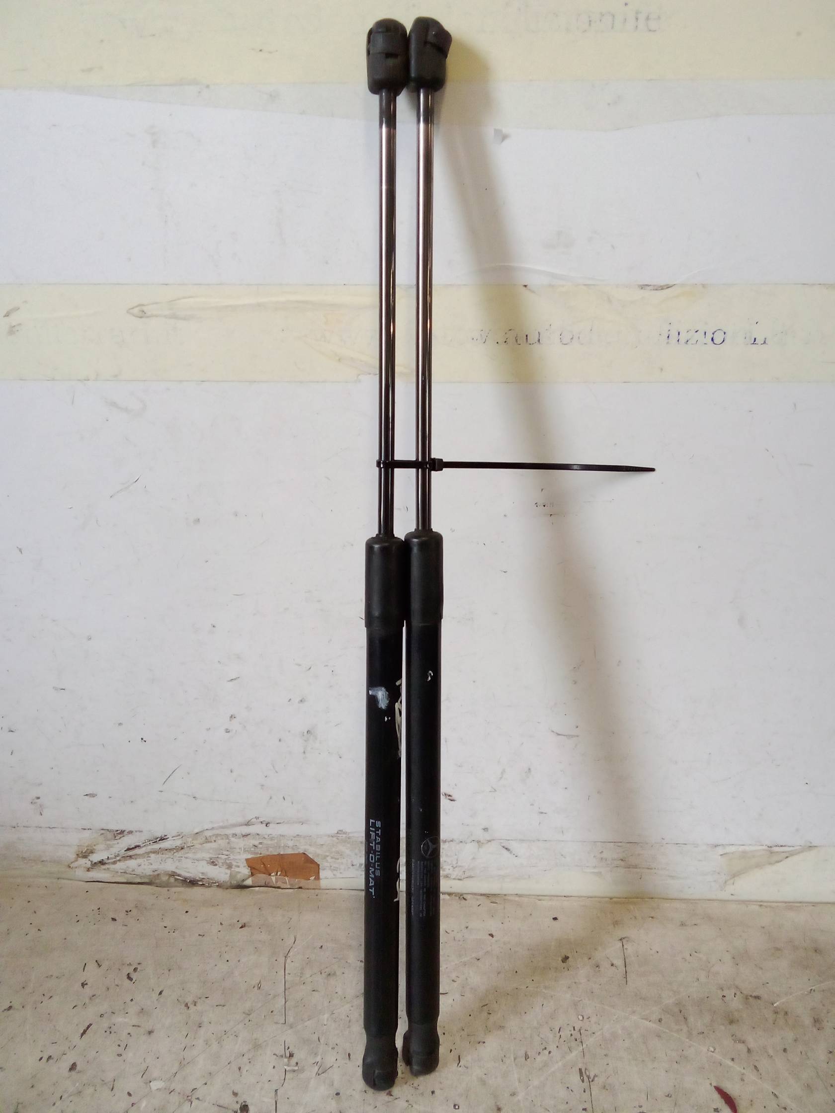 Asta ammortizzante portello post. sx.