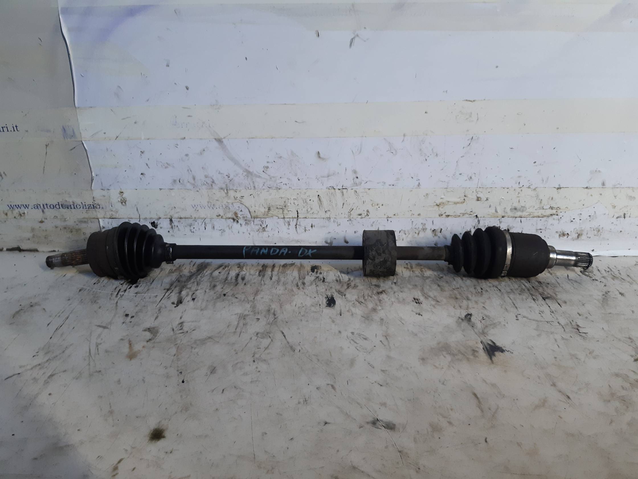 Semialbero ant. compl. dx. Semialbero ant. compl. dx.